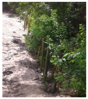 Water 10 00064 i003 Water 10 00064 i003