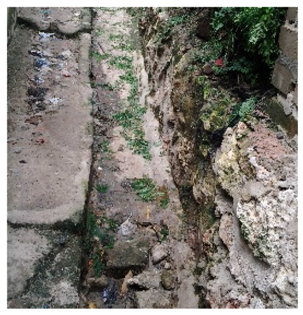 Water 10 00064 i006 Water 10 00064 i006