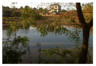 Water 10 00064 i009 Water 10 00064 i009