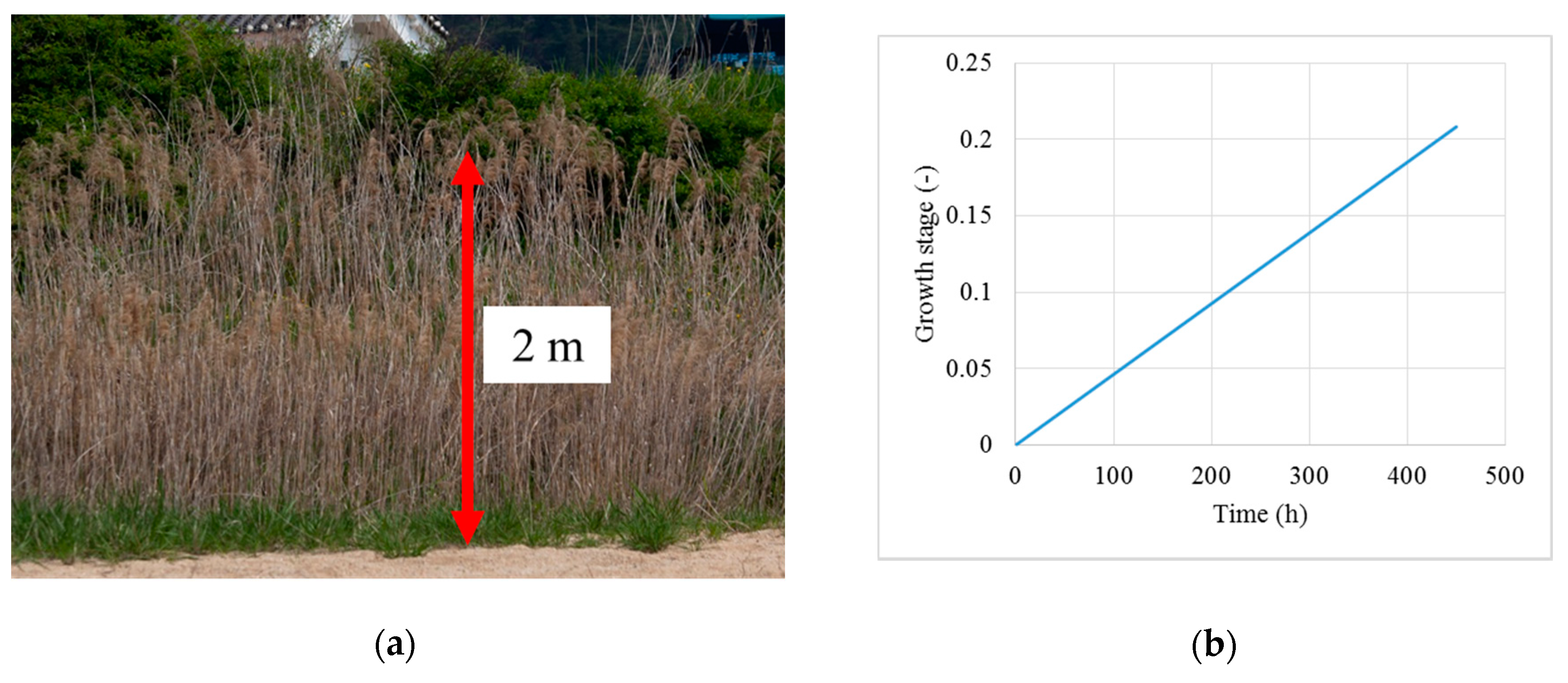 Water 10 00223 g002a Water 10 00223 g002a