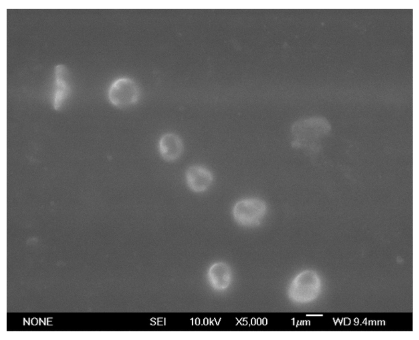 Water 10 00358 g008 Water 10 00358 g008