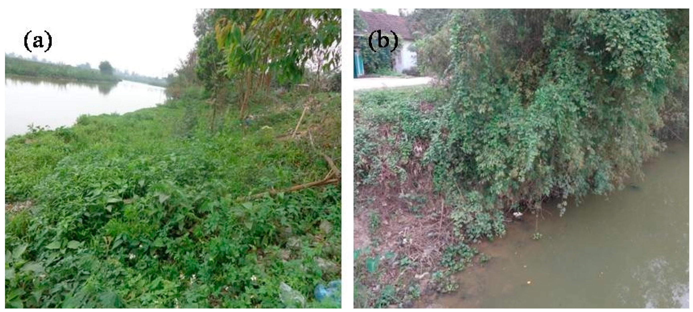 Water 10 00636 g002 Water 10 00636 g002