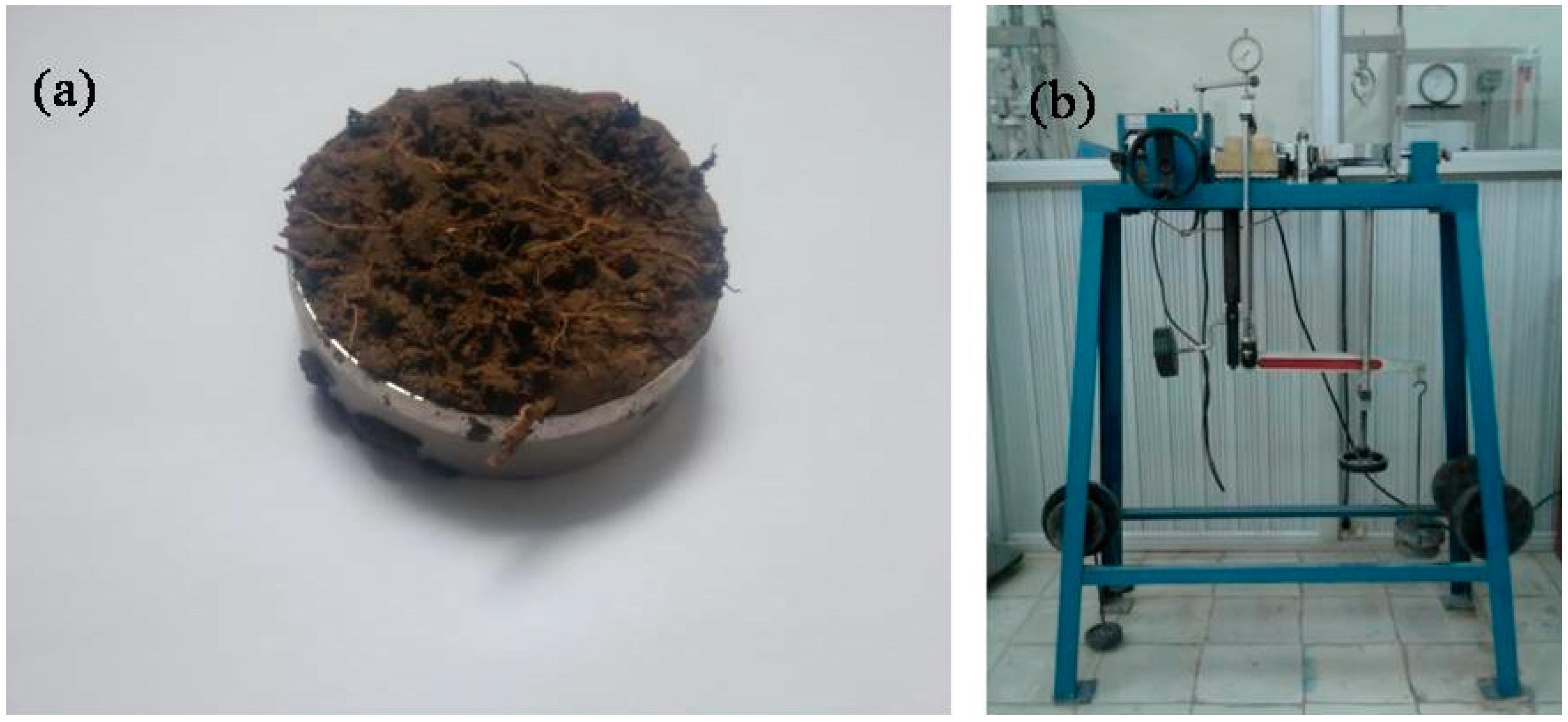 Water 10 00636 g005 Water 10 00636 g005