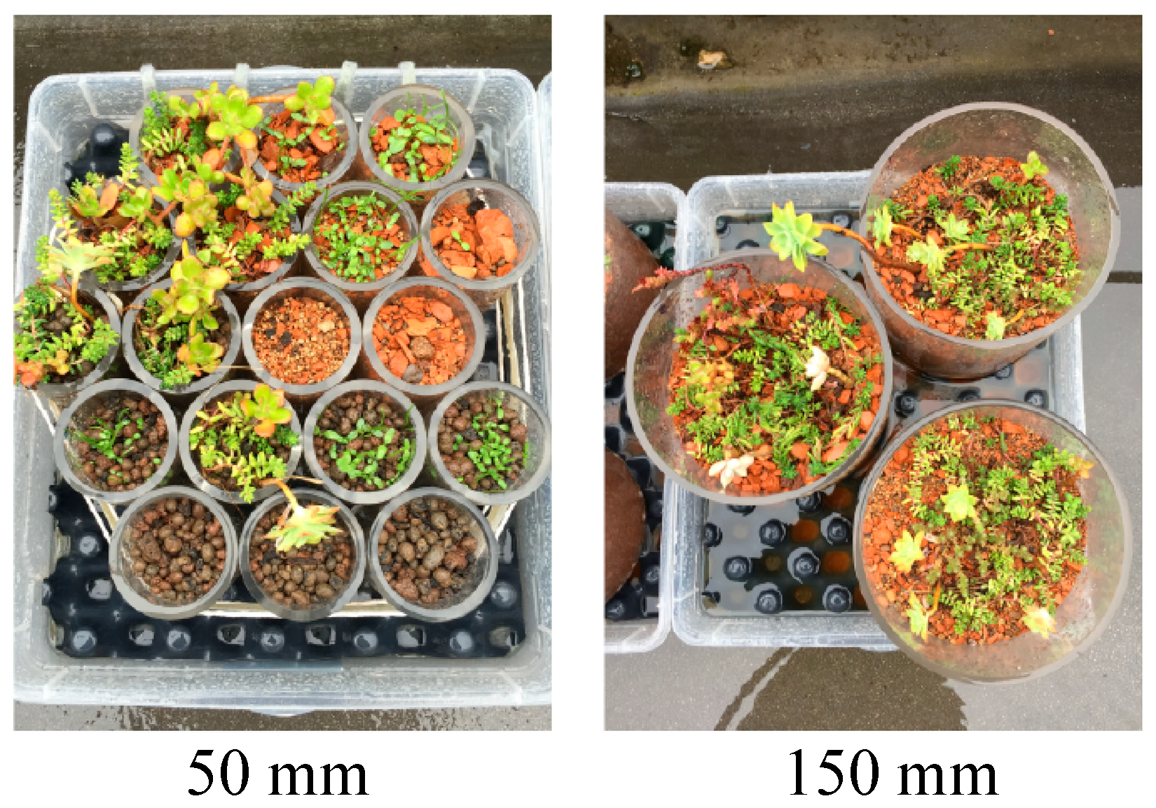 Water 10 00784 g002 Water 10 00784 g002