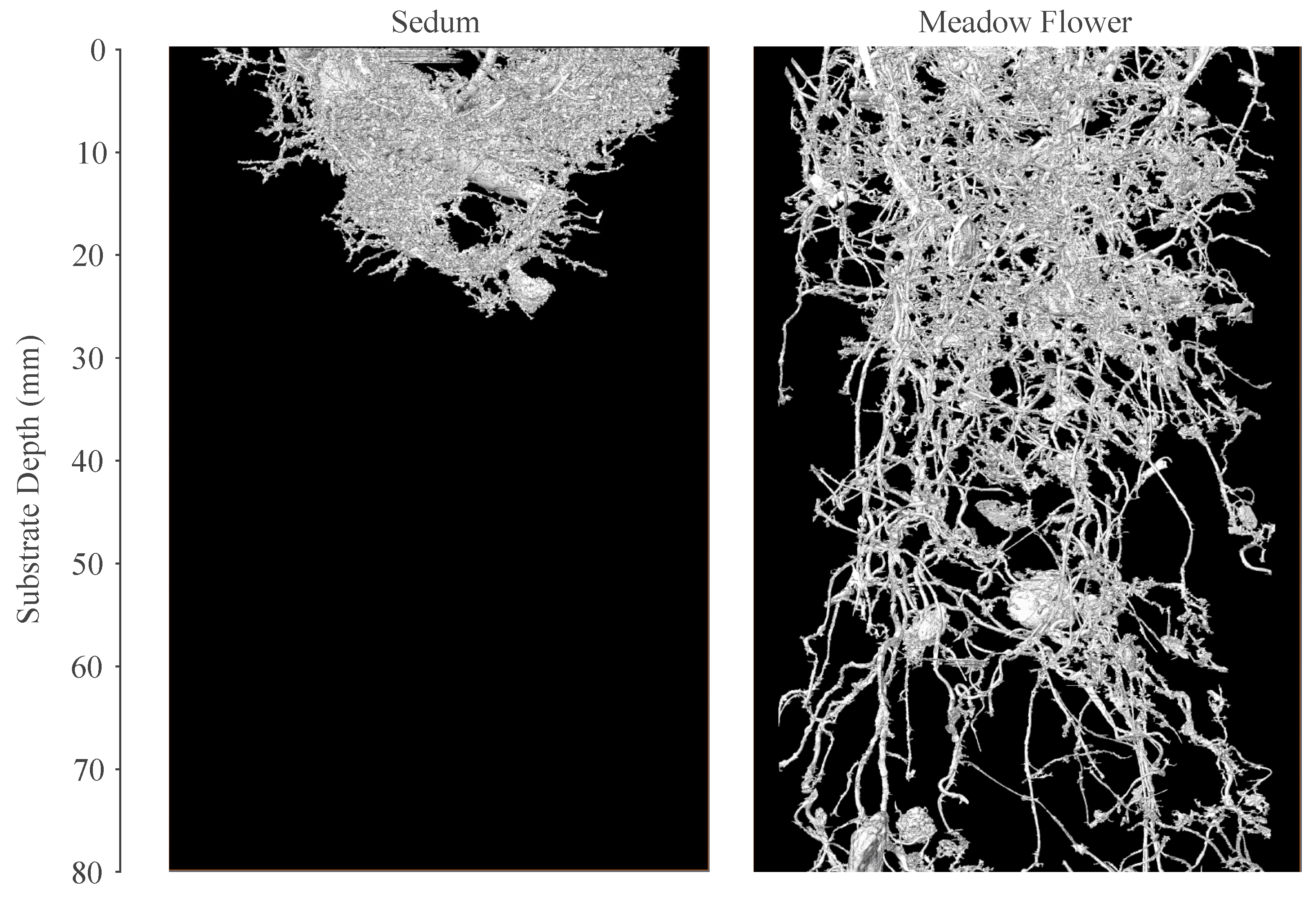 Water 10 00784 g008 Water 10 00784 g008