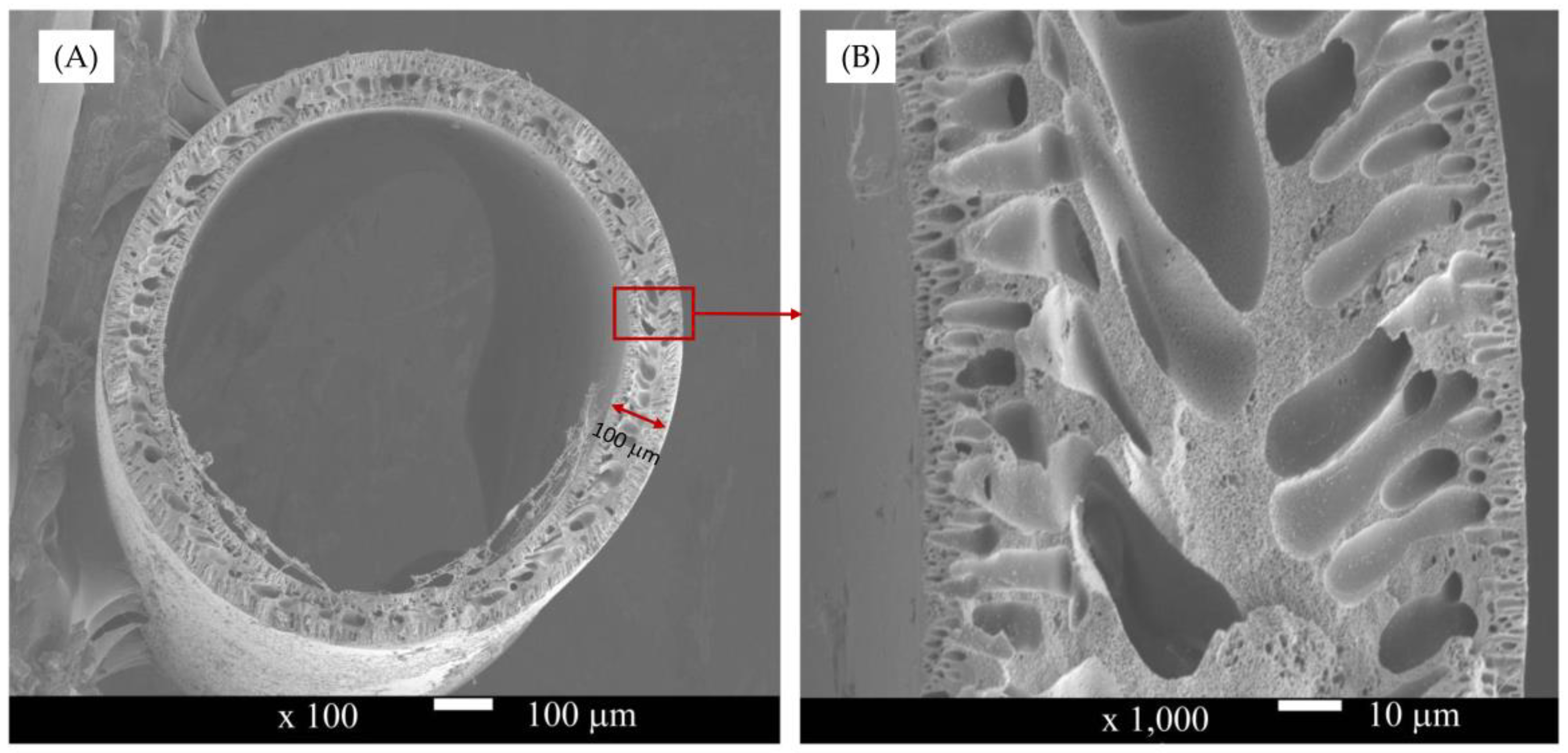 Water 10 01207 g003 Water 10 01207 g003