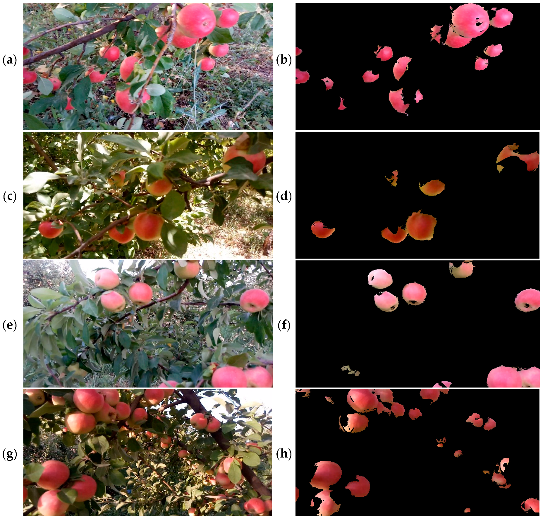 Water 10 01634 g010a