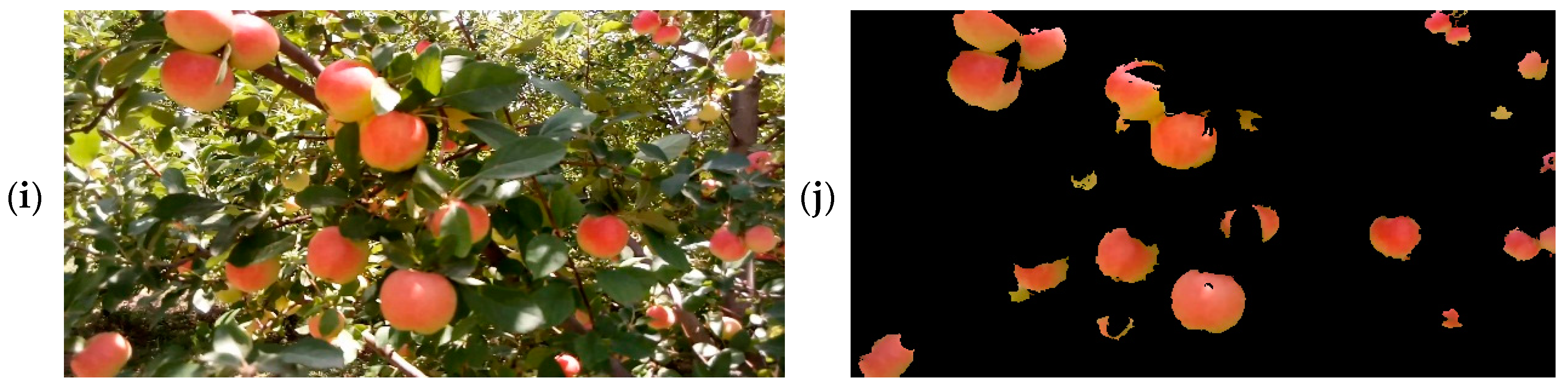 Water 10 01634 g010b