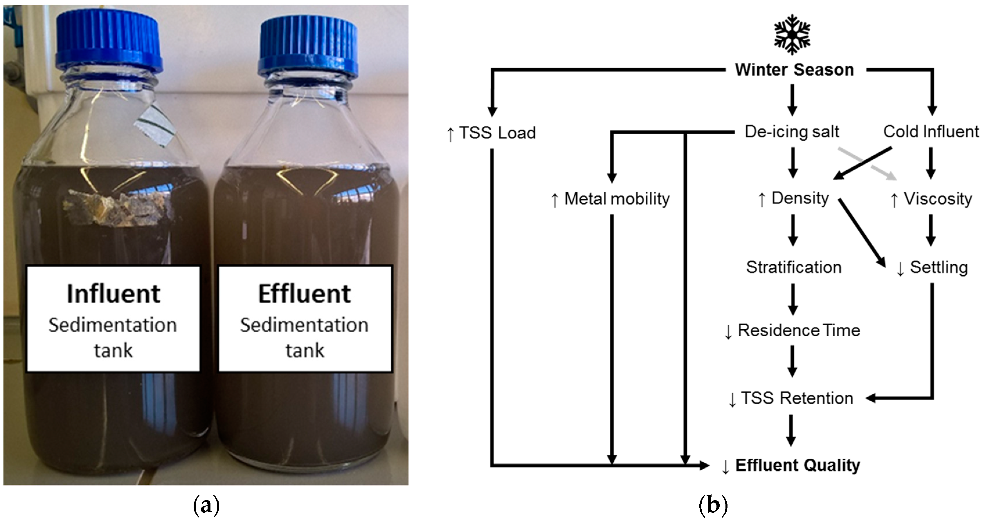 Water 10 01738 g001 Water 10 01738 g001