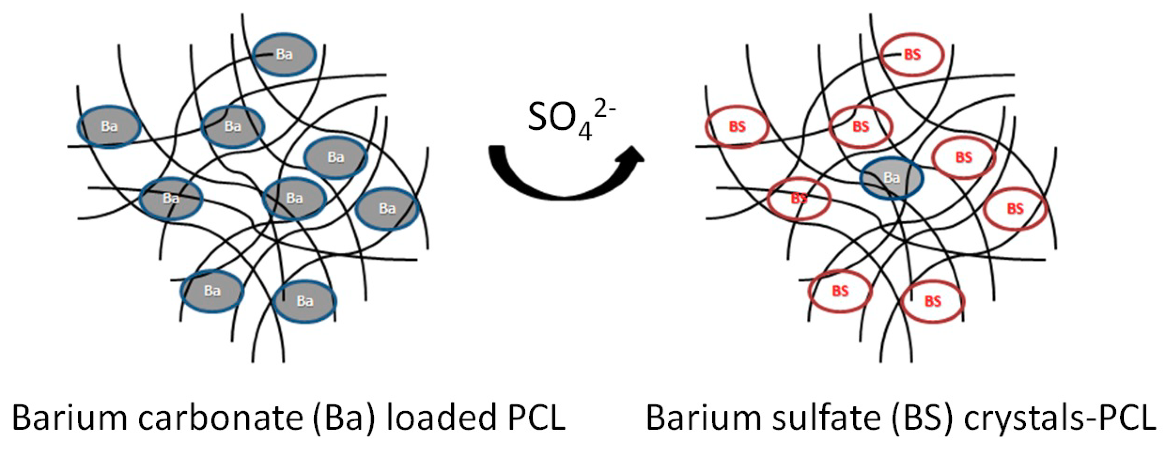 Water 10 01789 sch001