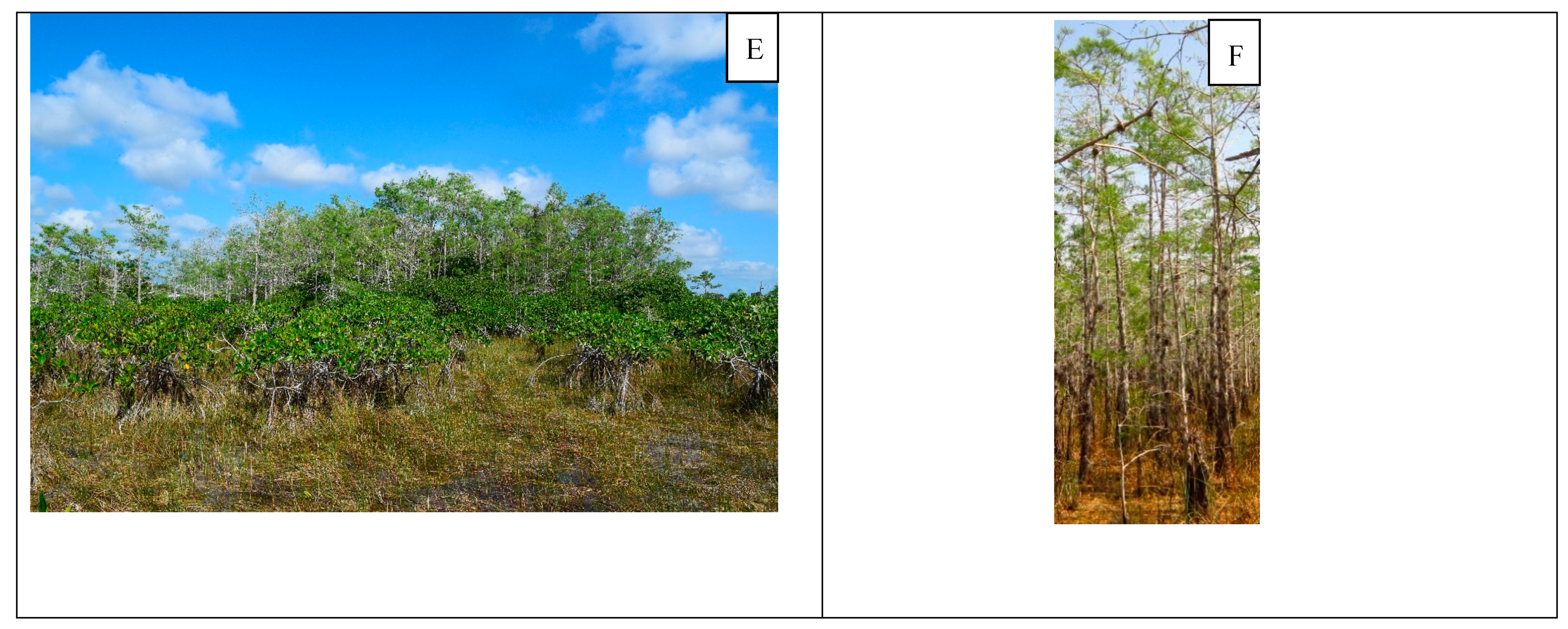 Water 11 00265 g001b