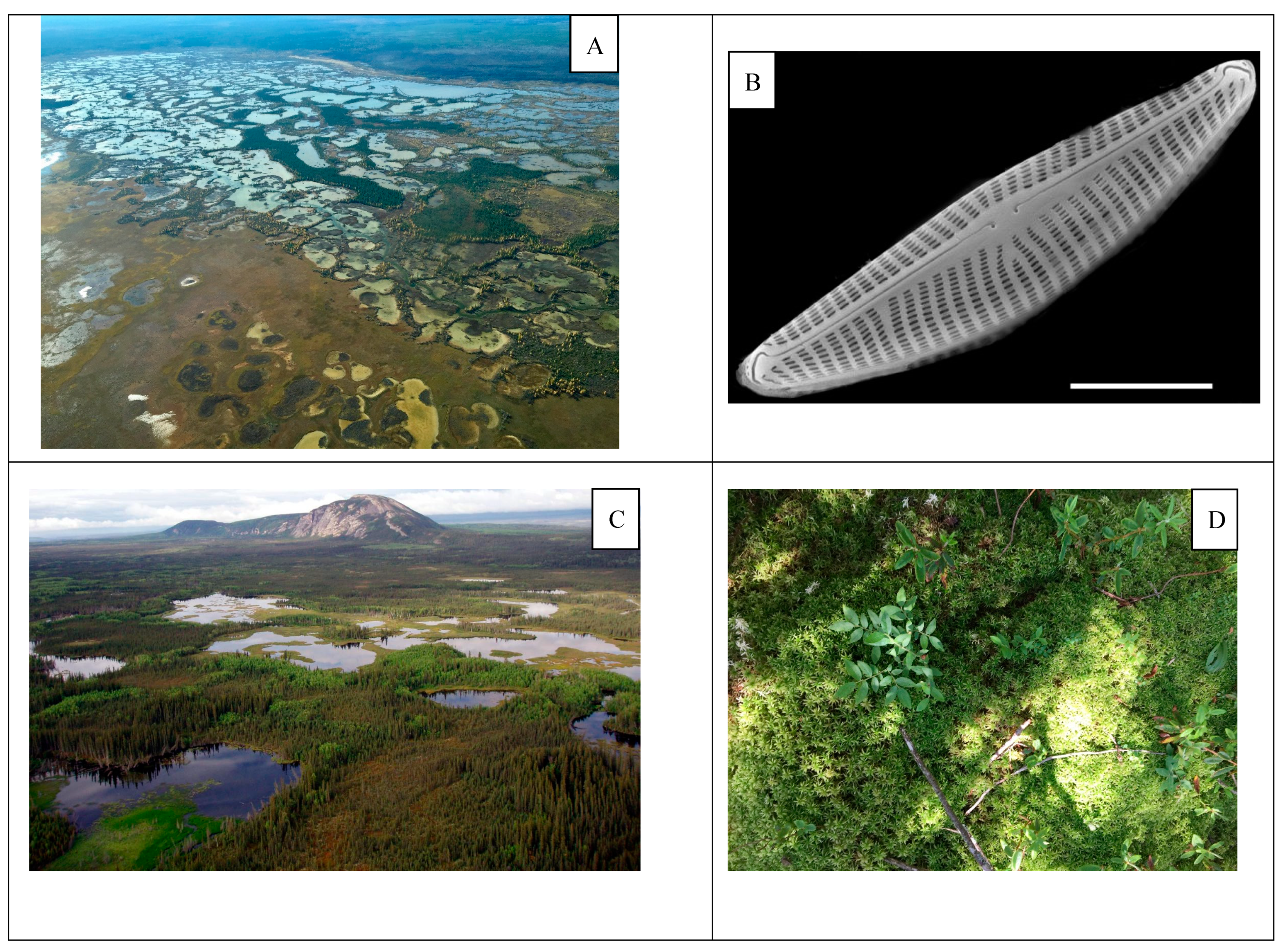 Water 11 00265 g004a