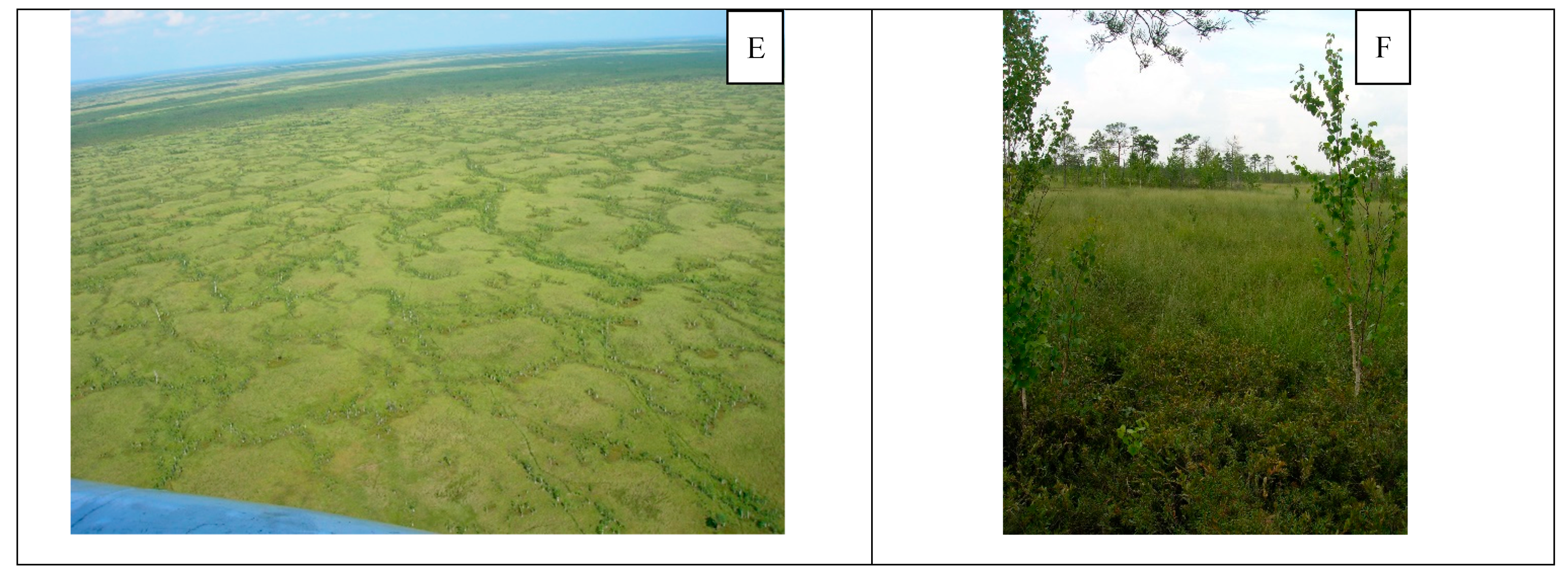 Water 11 00265 g004b