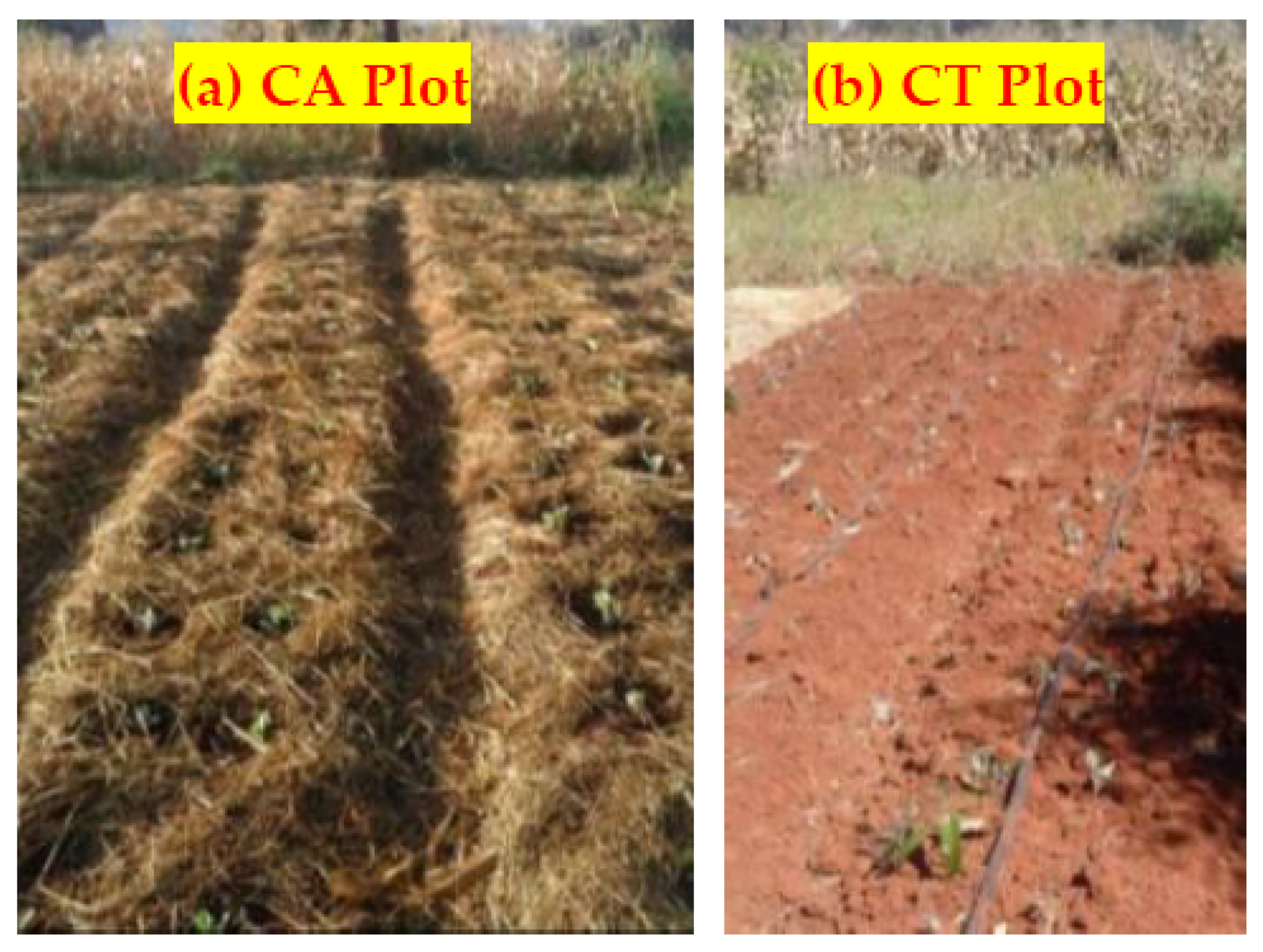 Water 11 00530 g002 Water 11 00530 g002