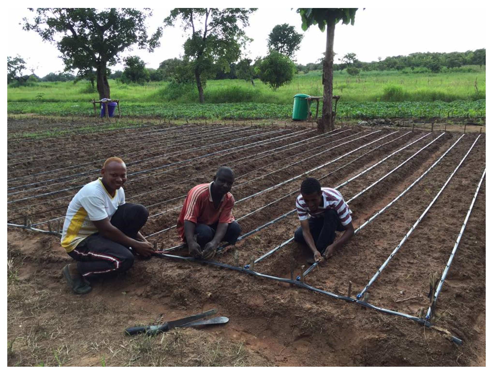 Water 11 00530 g003 Water 11 00530 g003