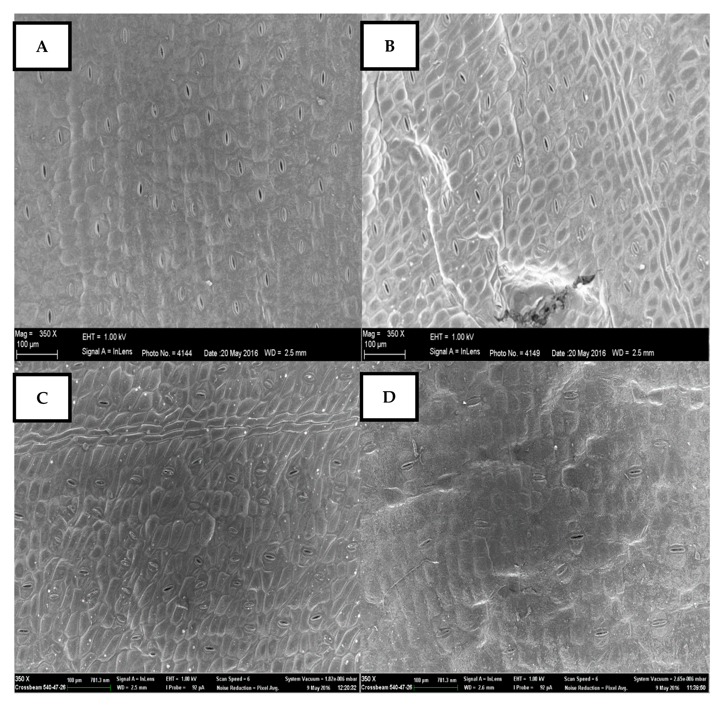 Water 11 00548 g006 Water 11 00548 g006