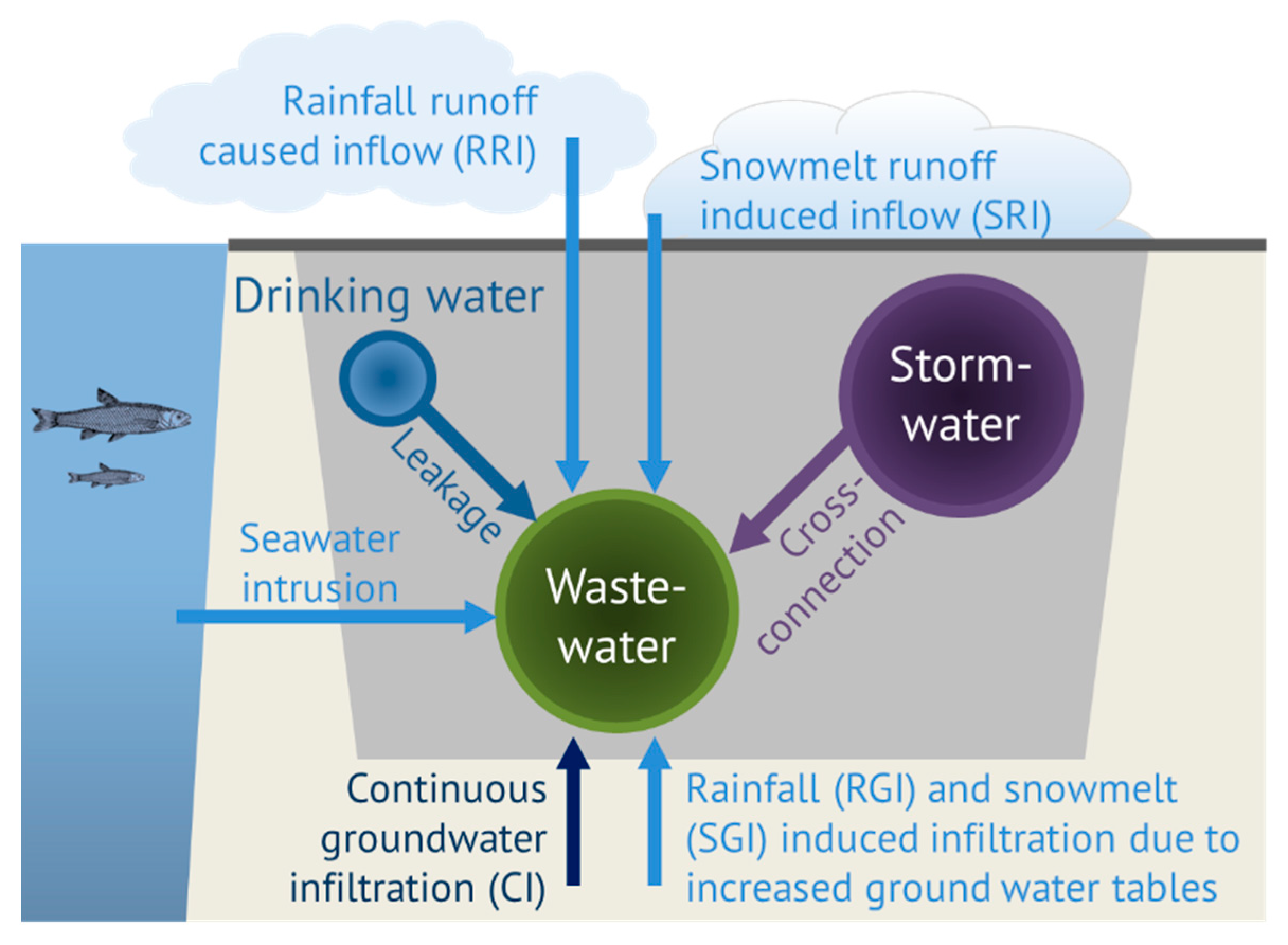 Water 11 01529 g002