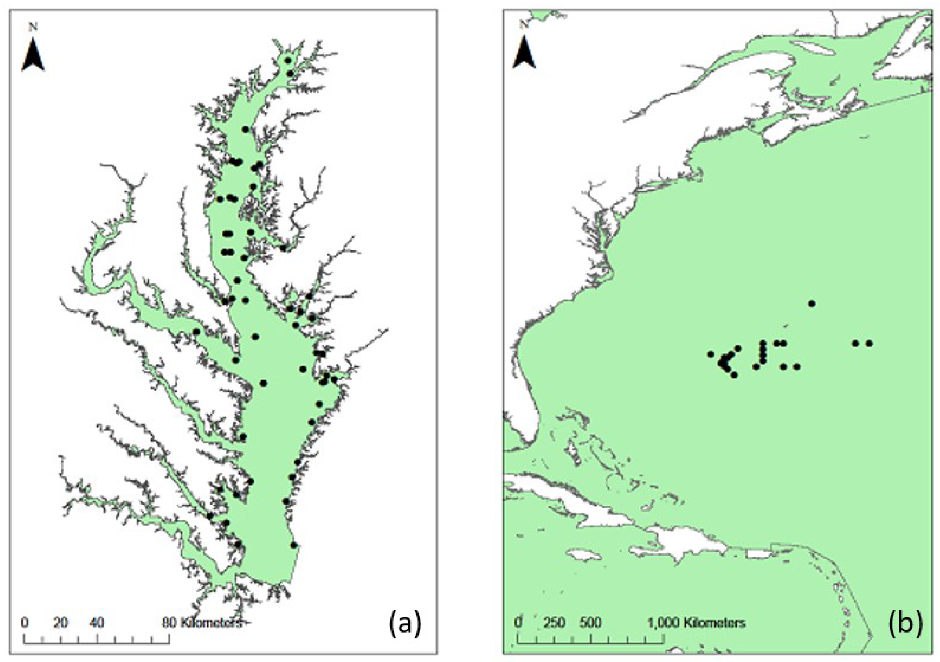 Water 11 01621 g002 Water 11 01621 g002