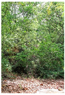 Water 11 01634 i002 Water 11 01634 i002