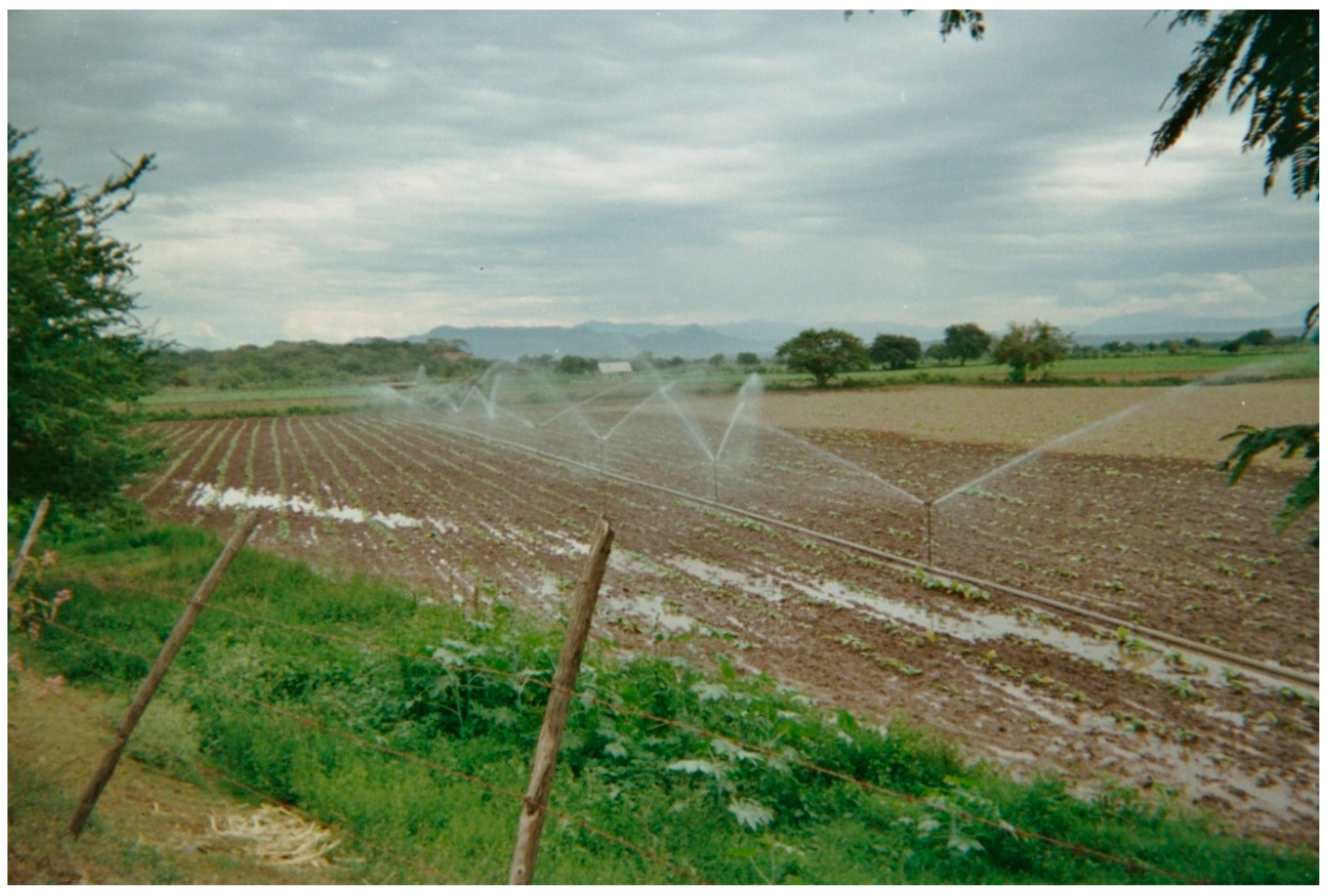 Water 11 01751 g002 Water 11 01751 g002