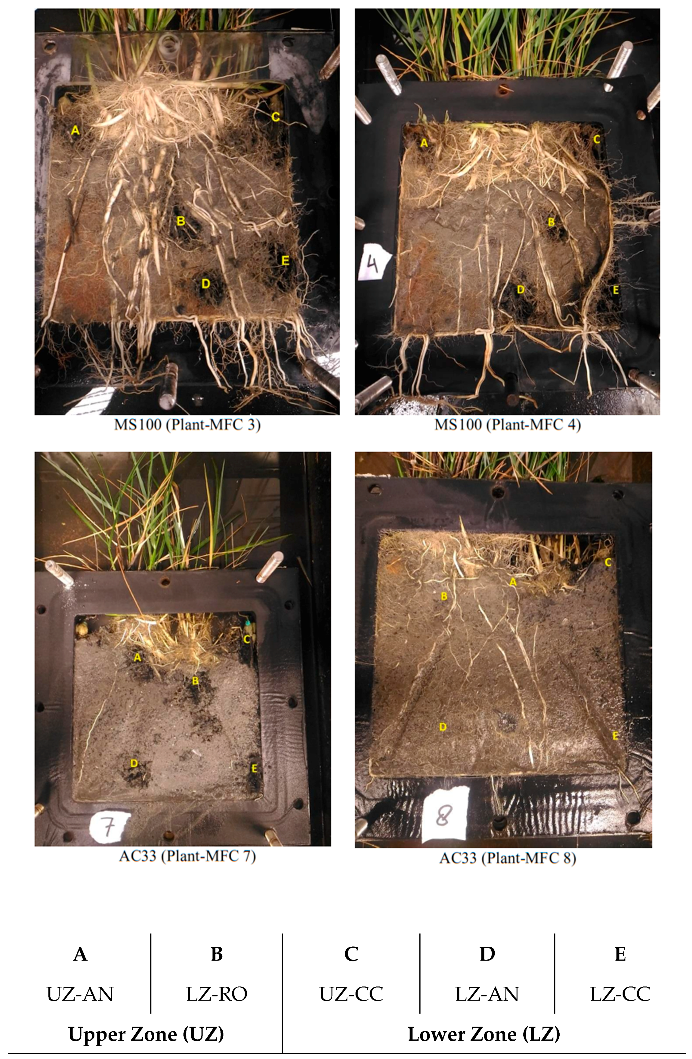 Water 11 01810 g002 Water 11 01810 g002