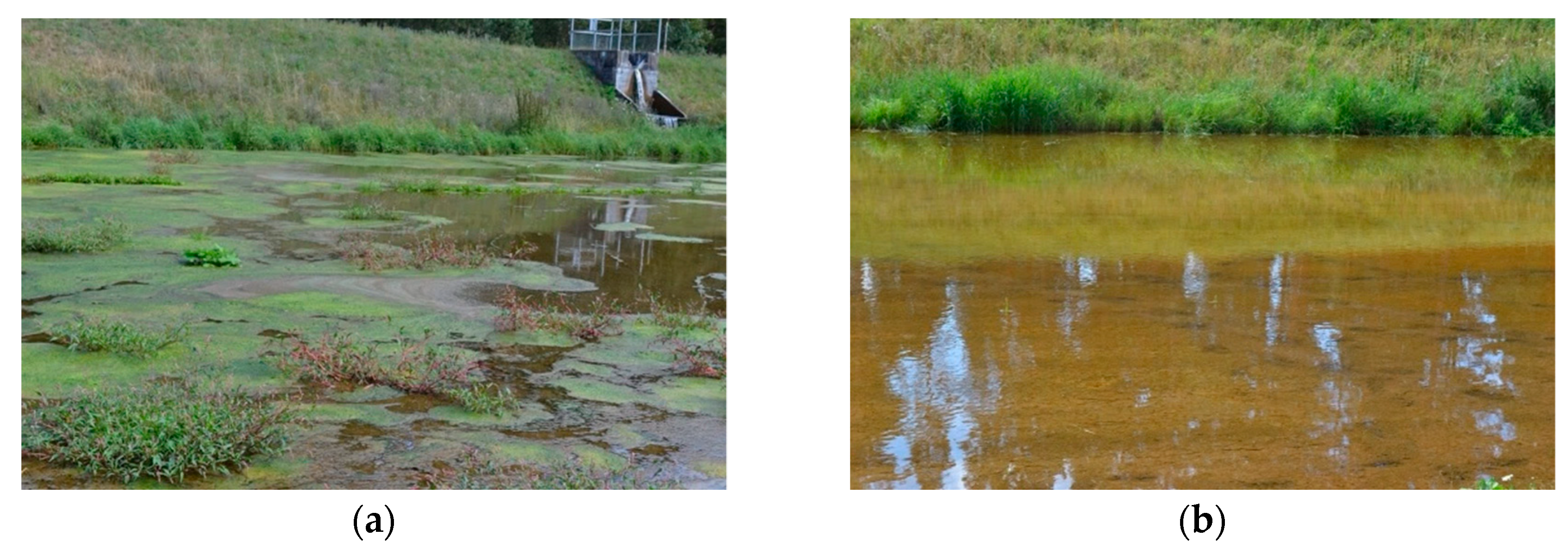 Water 11 01991 g003 Water 11 01991 g003
