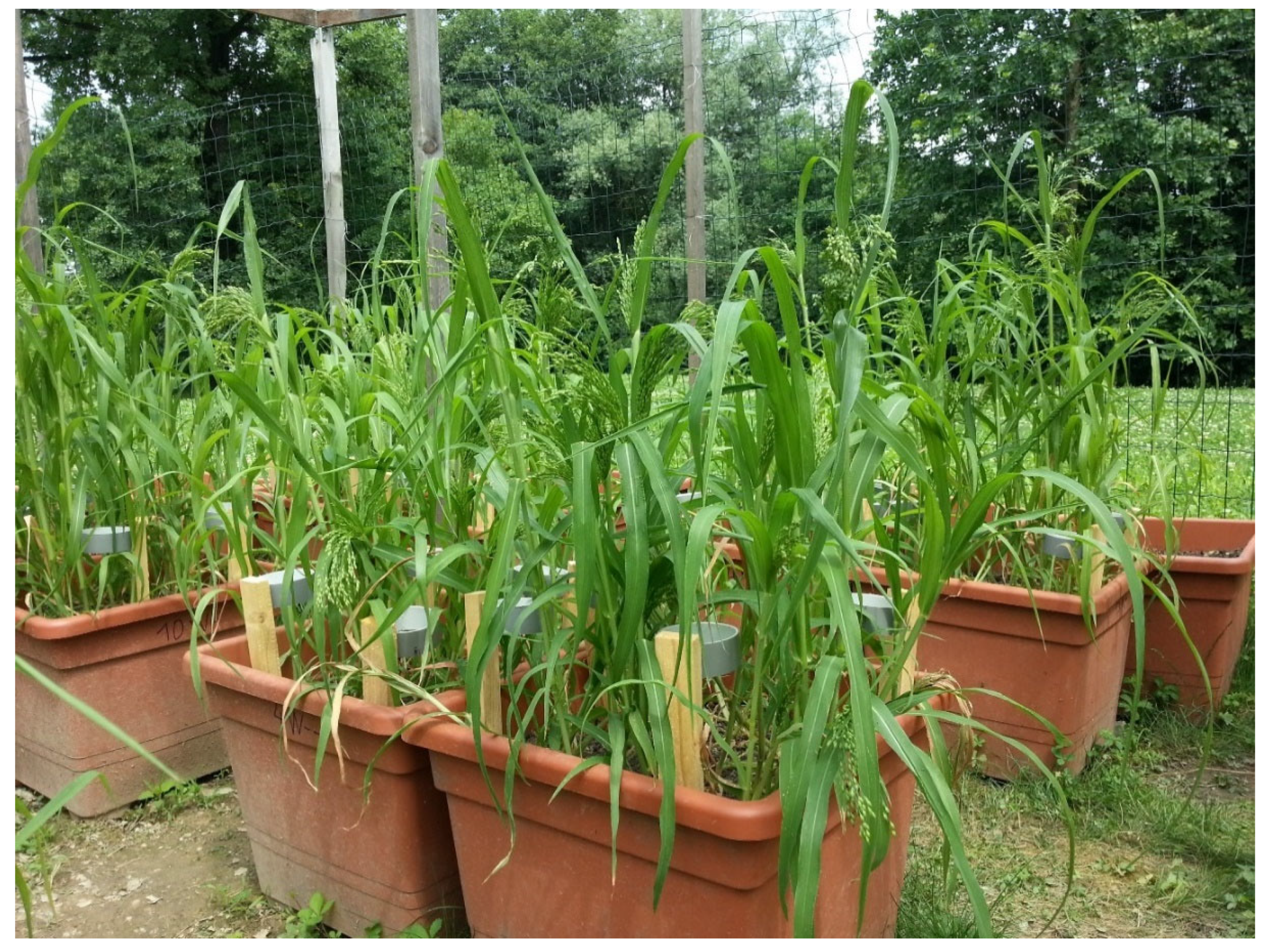 Water 11 02155 g001 Water 11 02155 g001