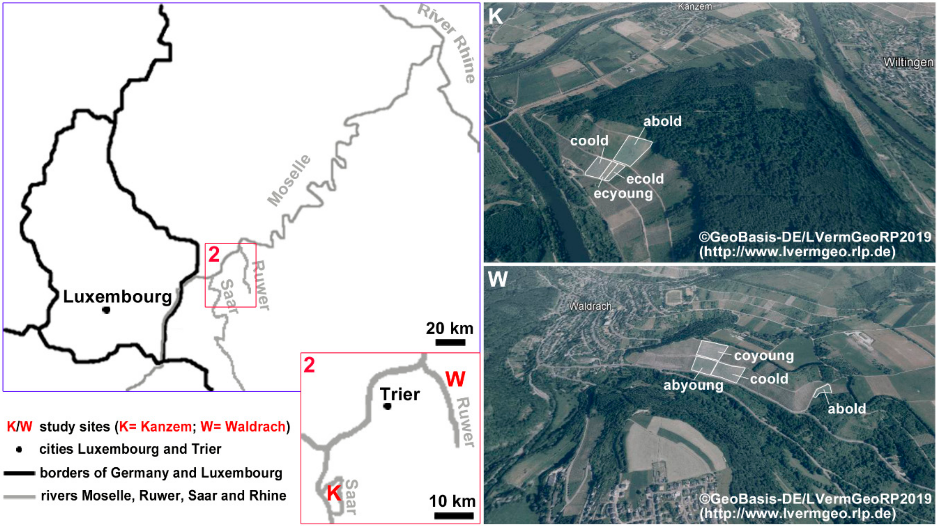 Water 11 02596 g001 Water 11 02596 g001