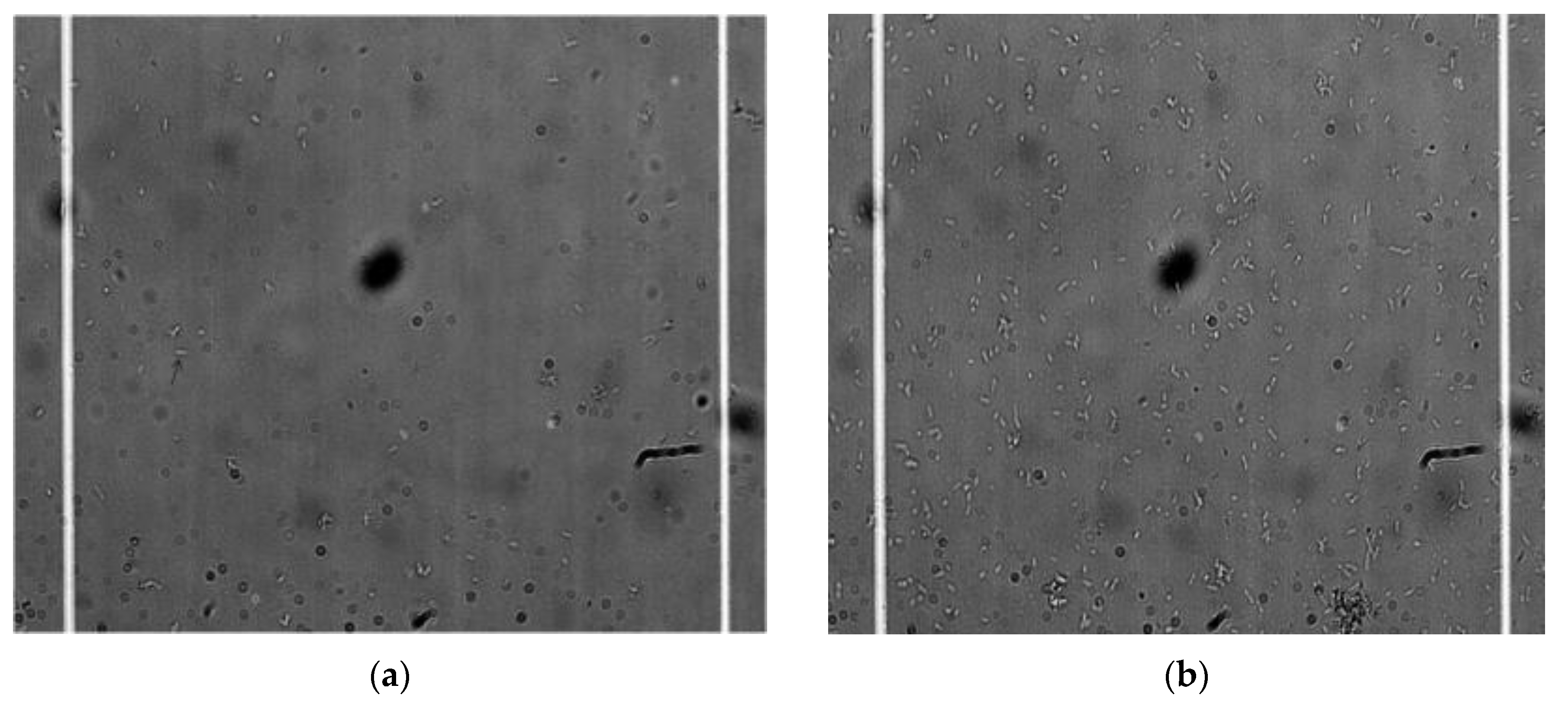 Water 12 00015 g007a