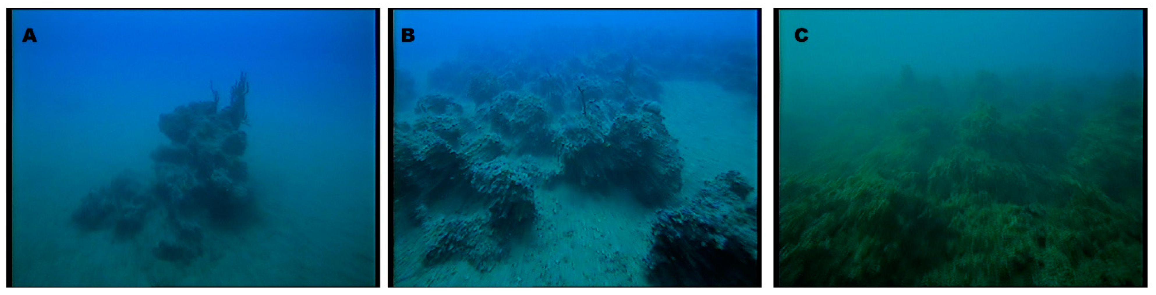 Water 12 00157 g002