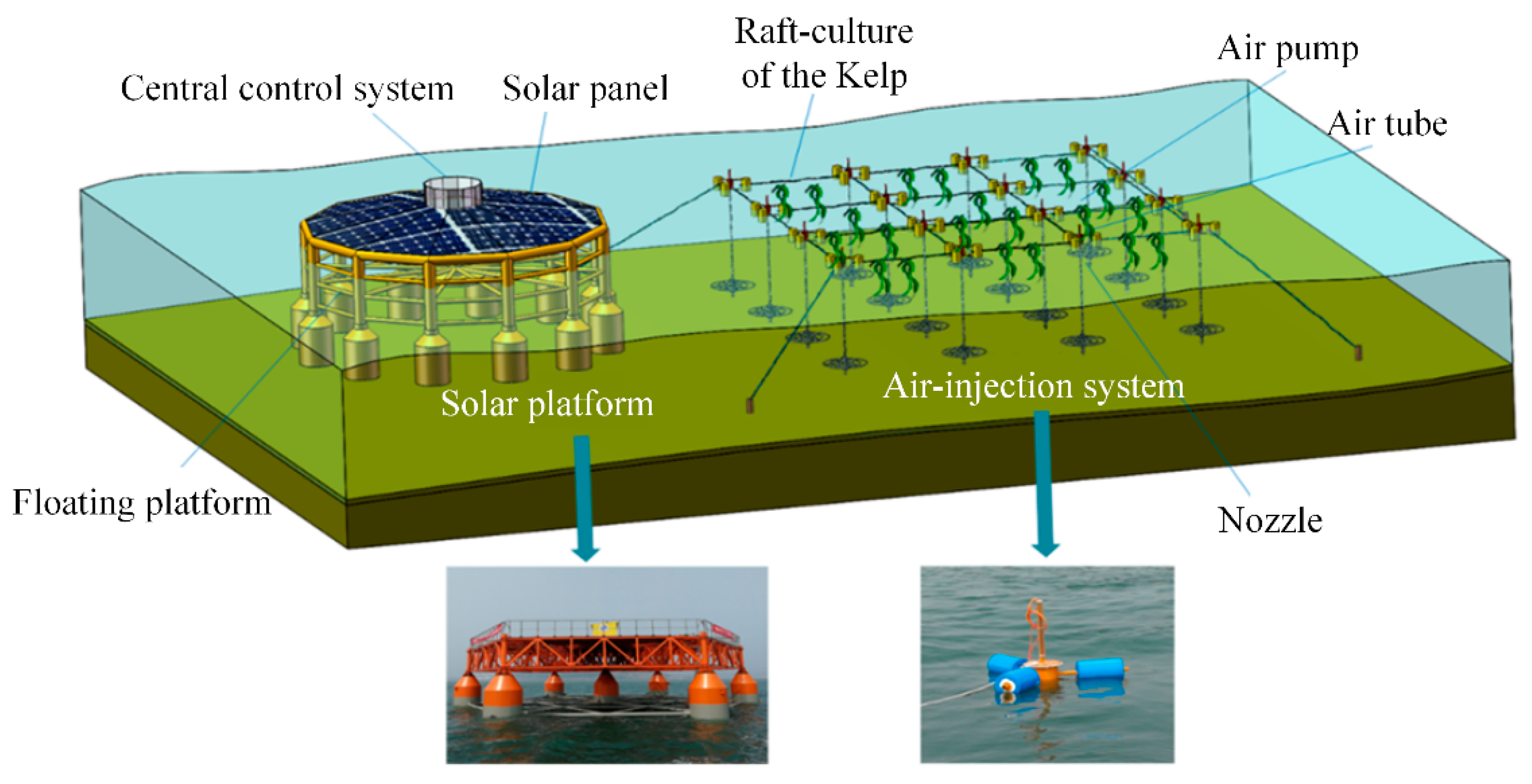 Water 12 00177 g002 Water 12 00177 g002