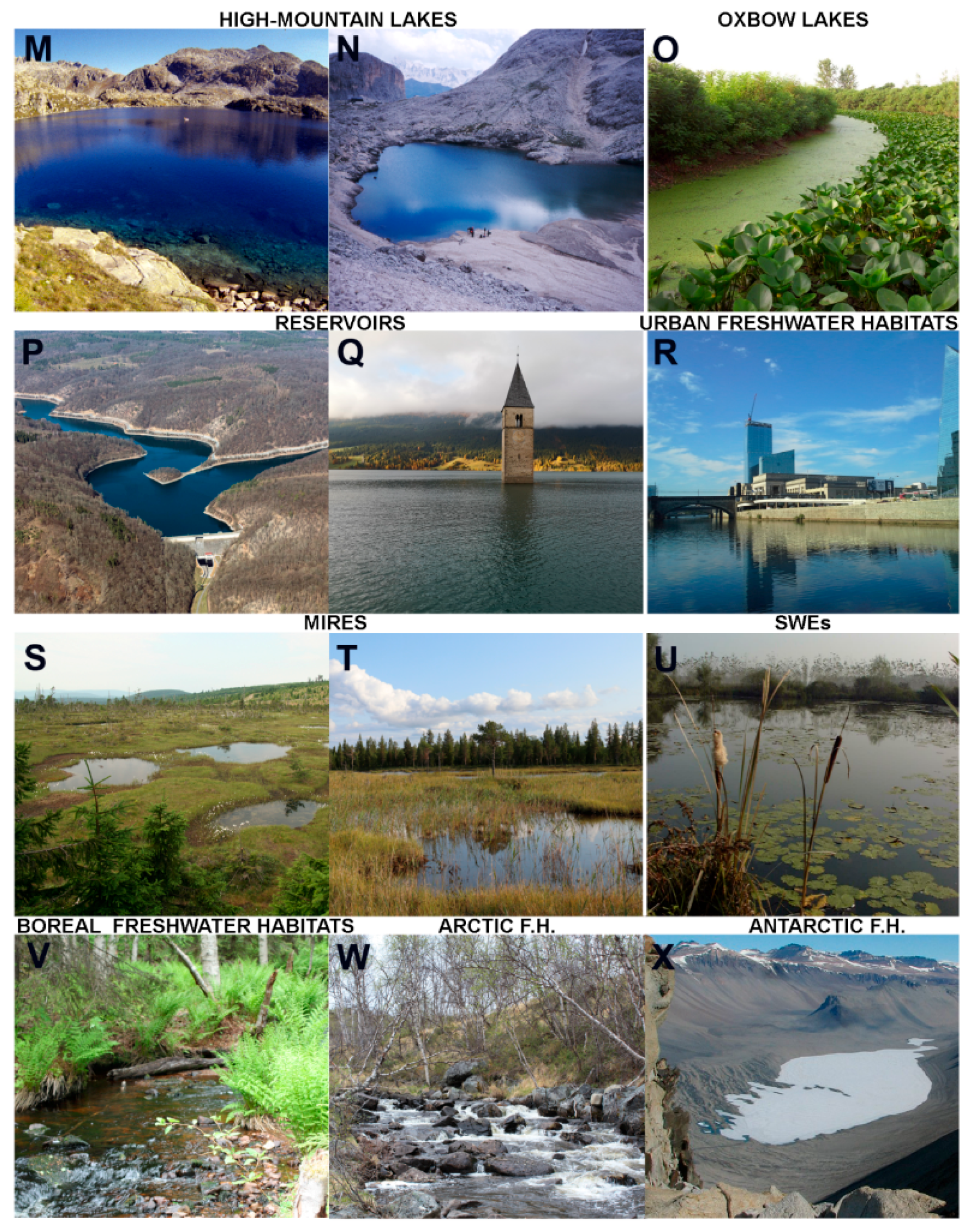 Water 12 00260 g001b