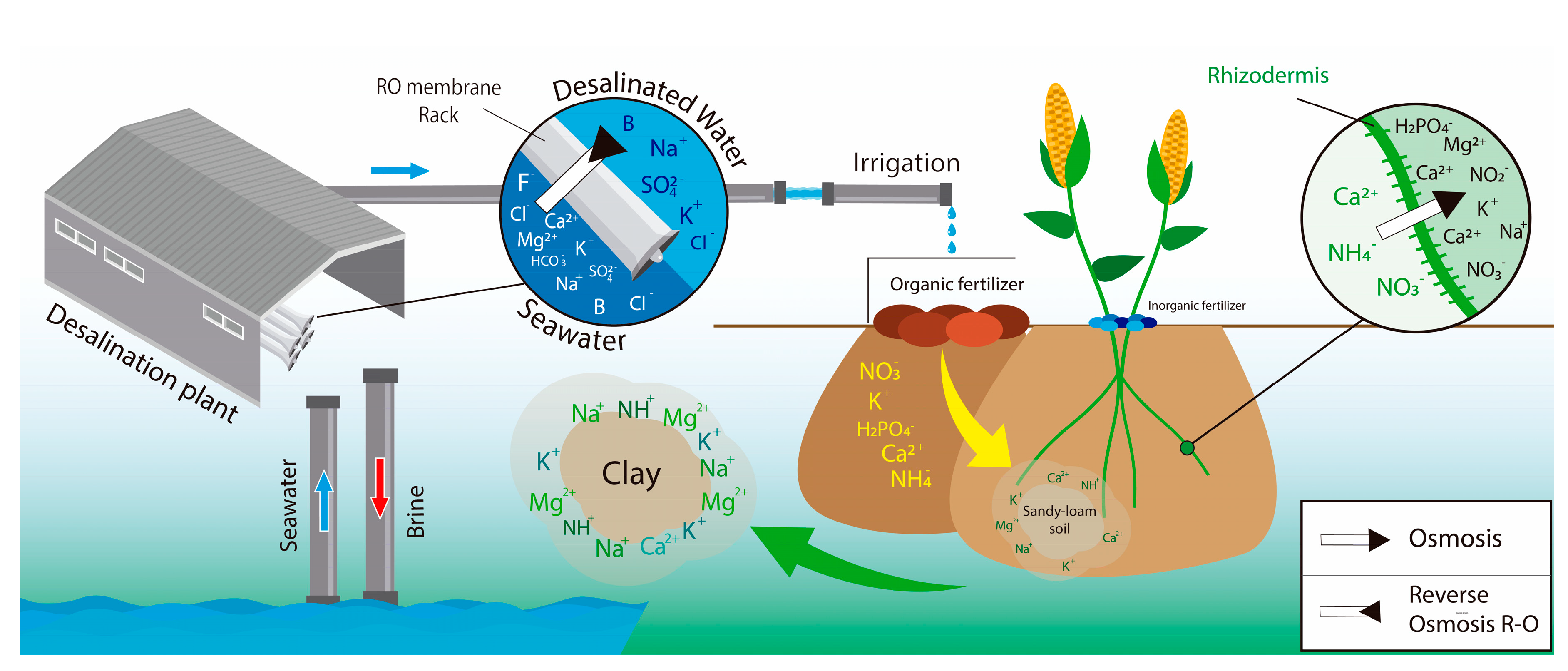 Water 12 00272 g004 Water 12 00272 g004