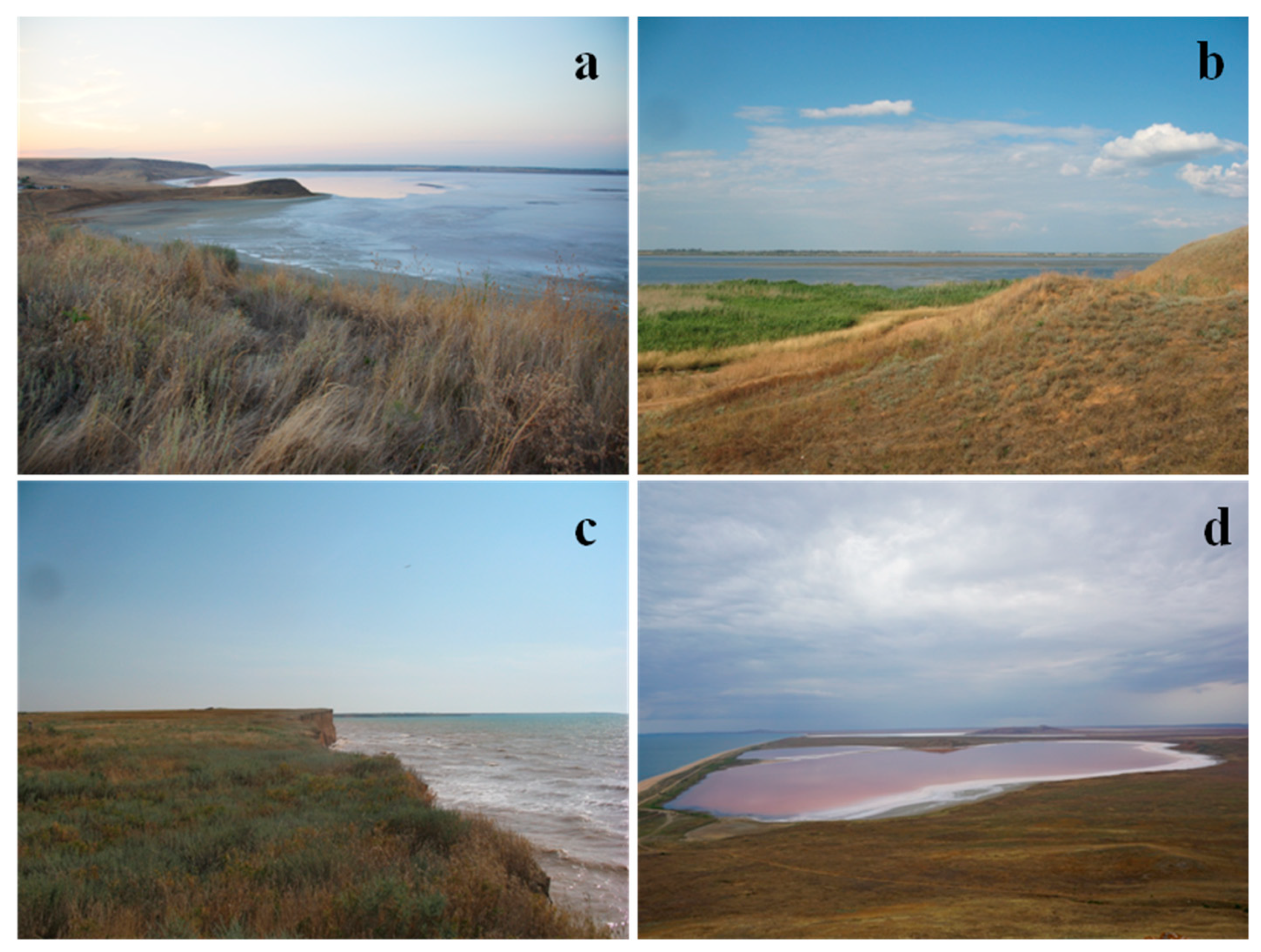 Water 12 00349 g002 Water 12 00349 g002