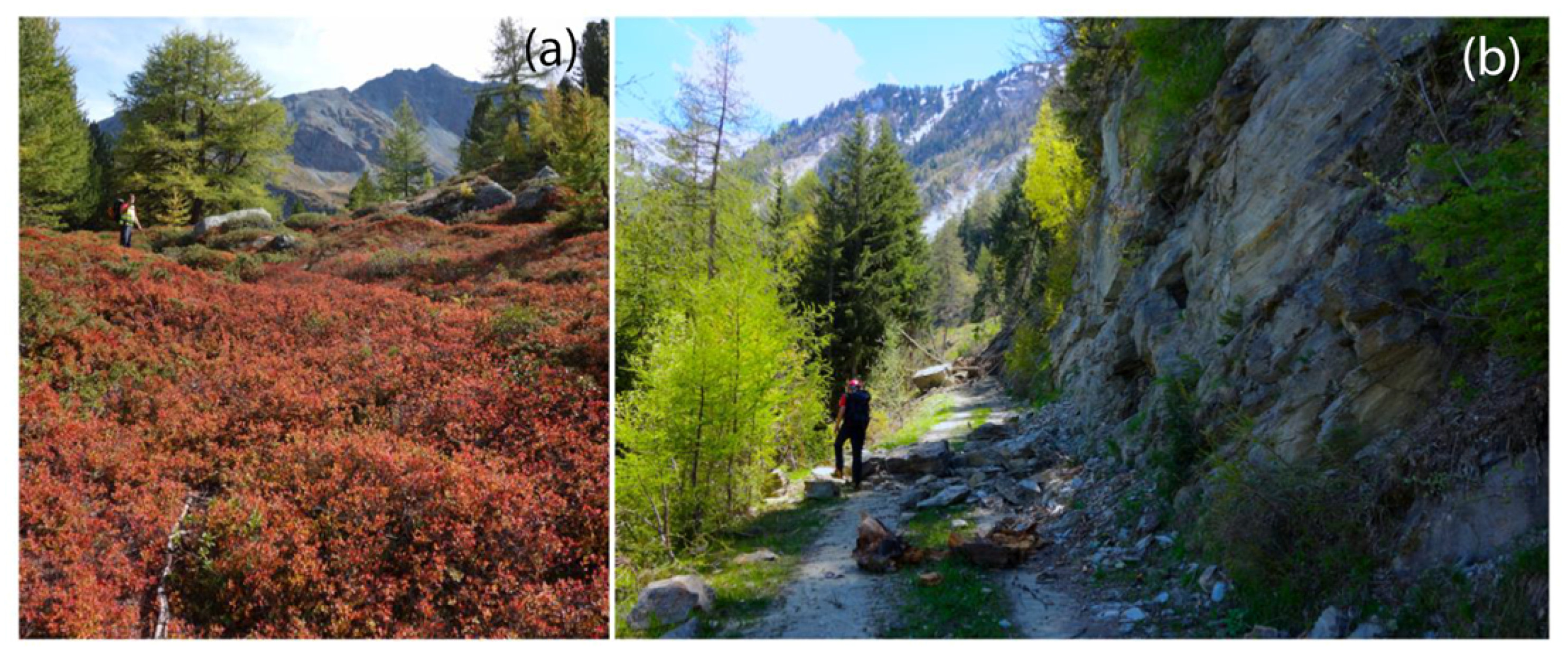 Water 12 00447 g003 Water 12 00447 g003