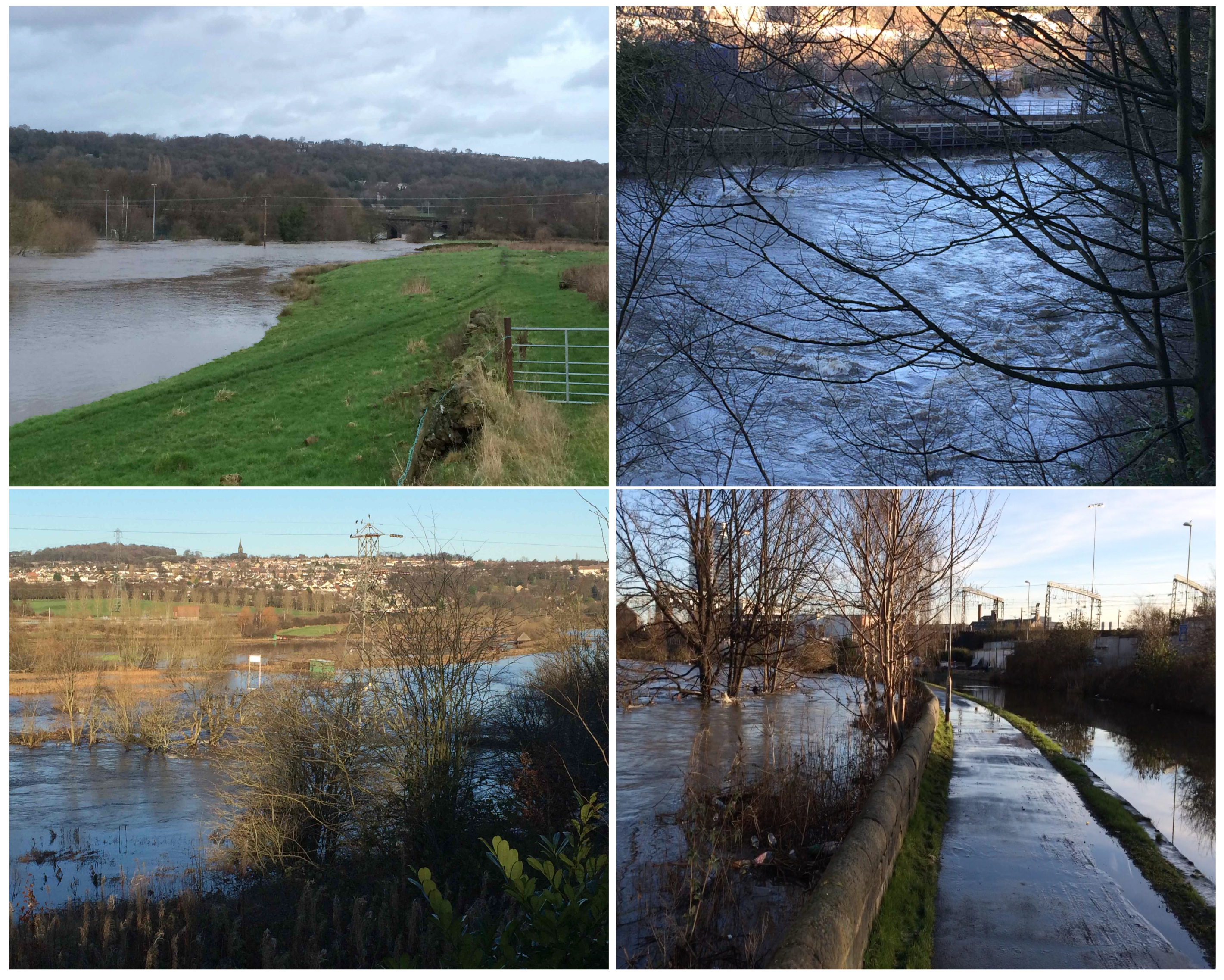 Water 12 00652 g011 Water 12 00652 g011