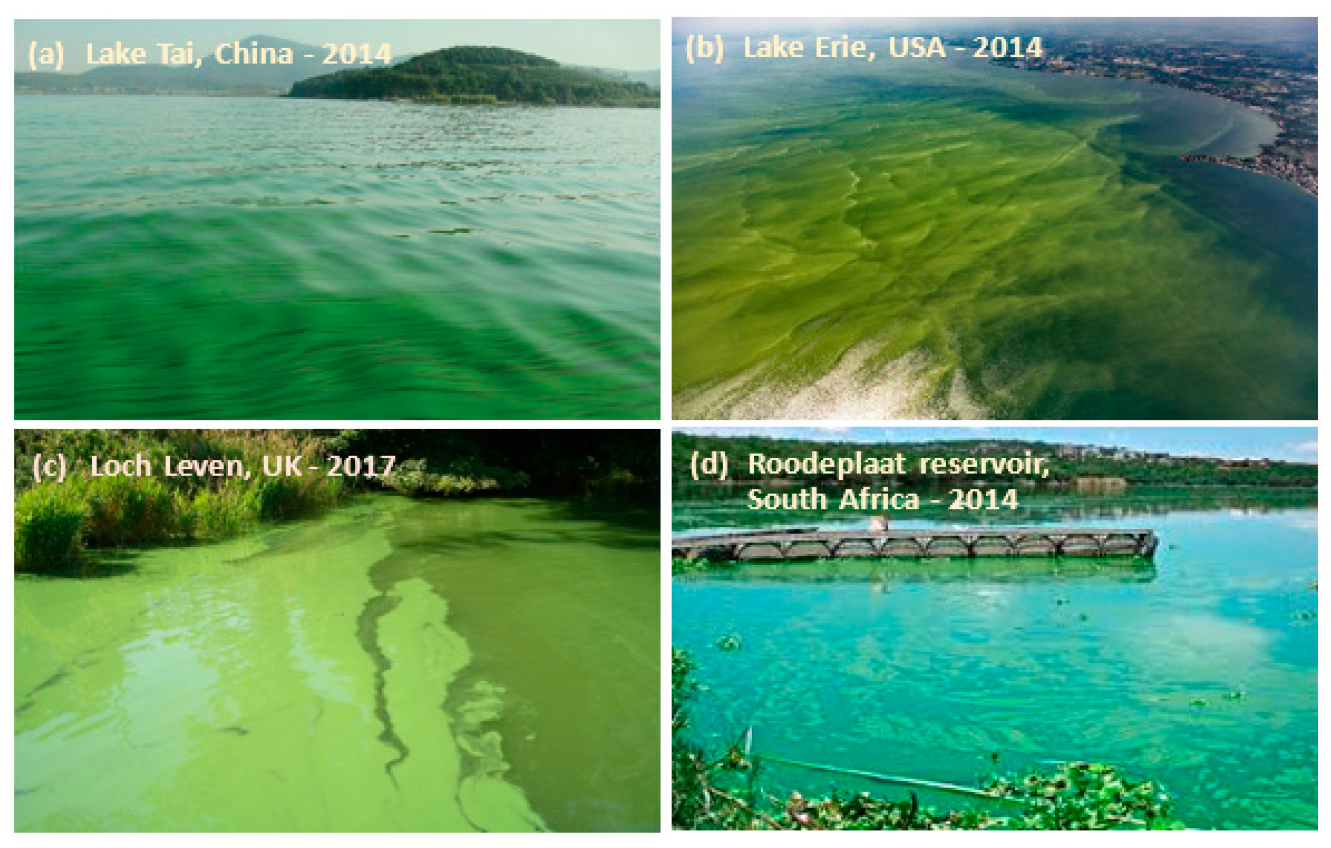 Water 12 00977 g001 Water 12 00977 g001