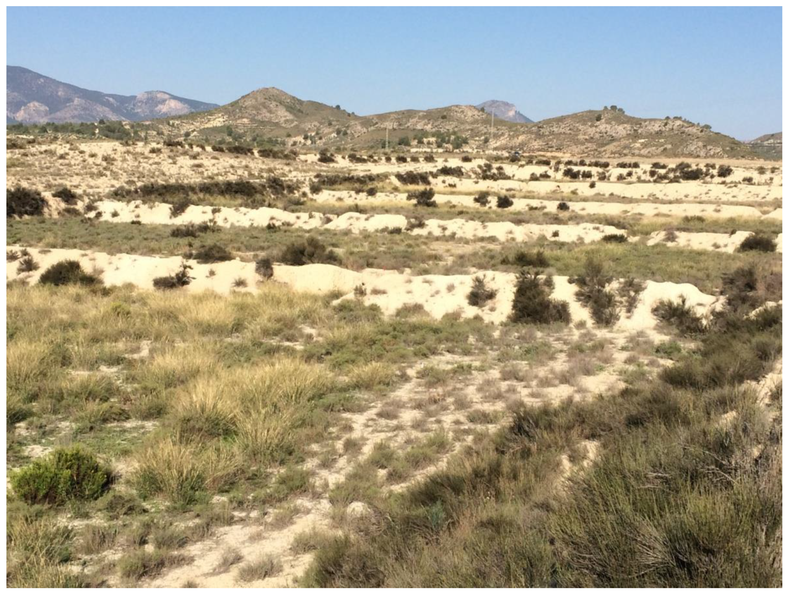 Water 12 01119 g002 Water 12 01119 g002