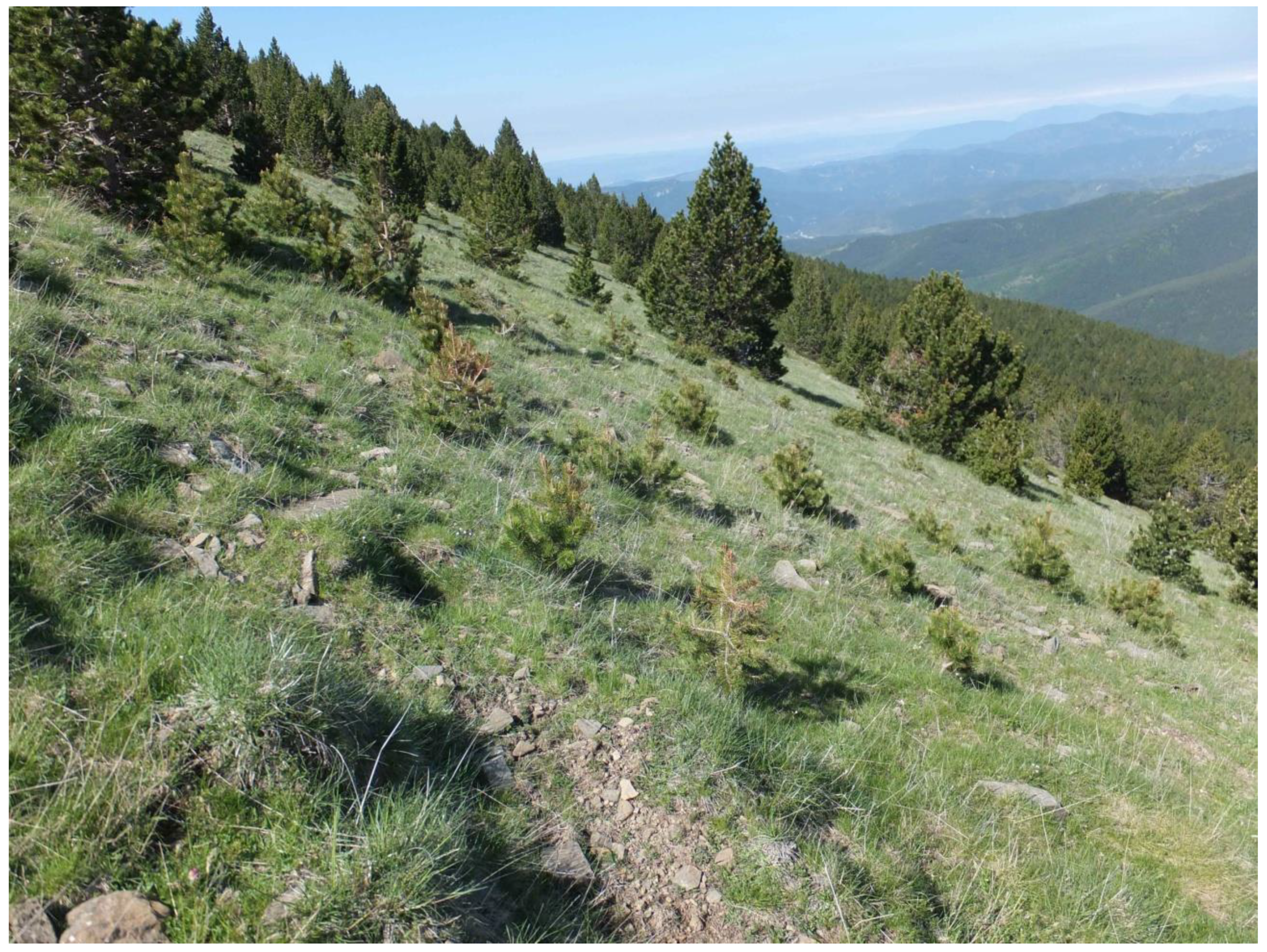 Water 12 01119 g003 Water 12 01119 g003