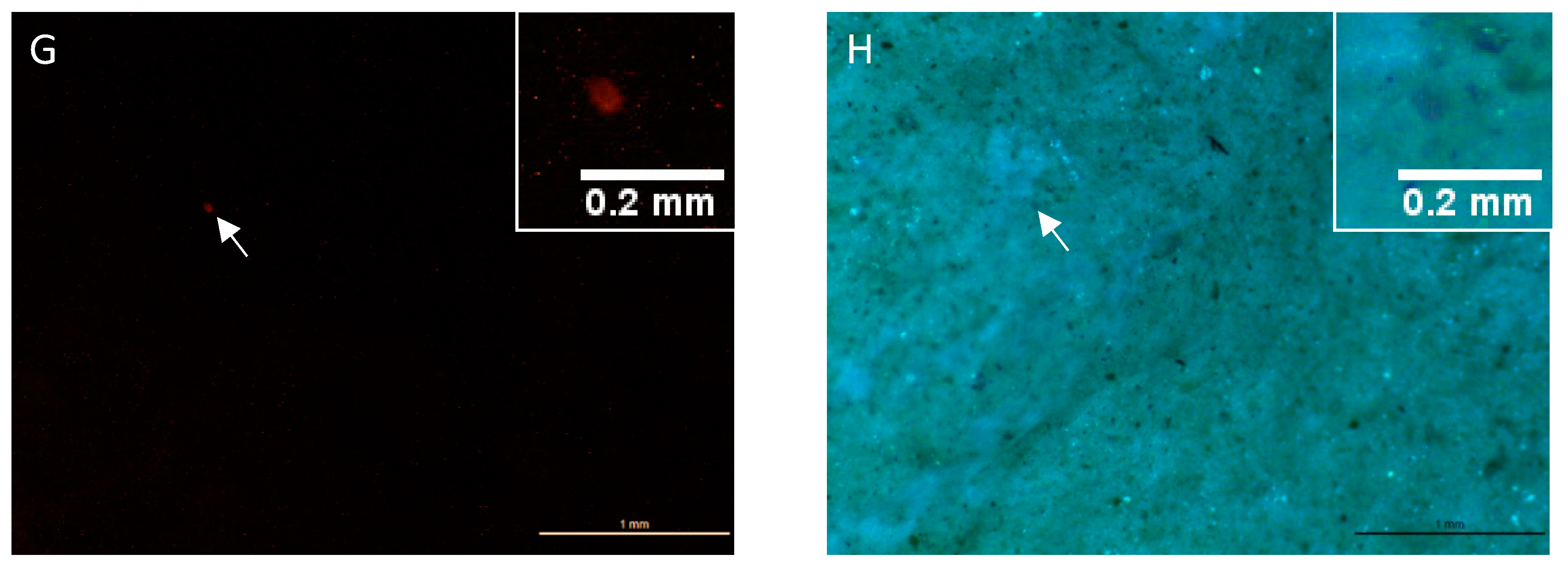 Water 12 01219 g002b