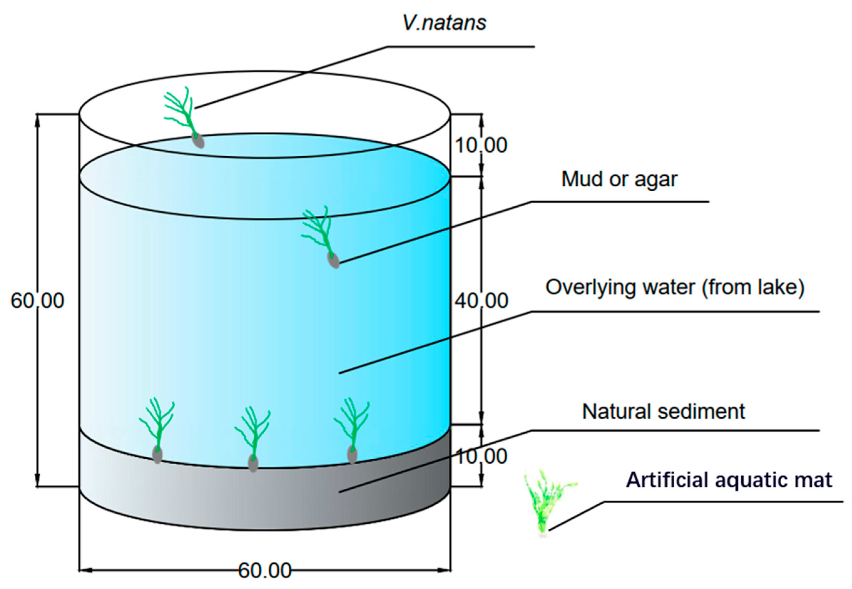 Water 12 01294 g001