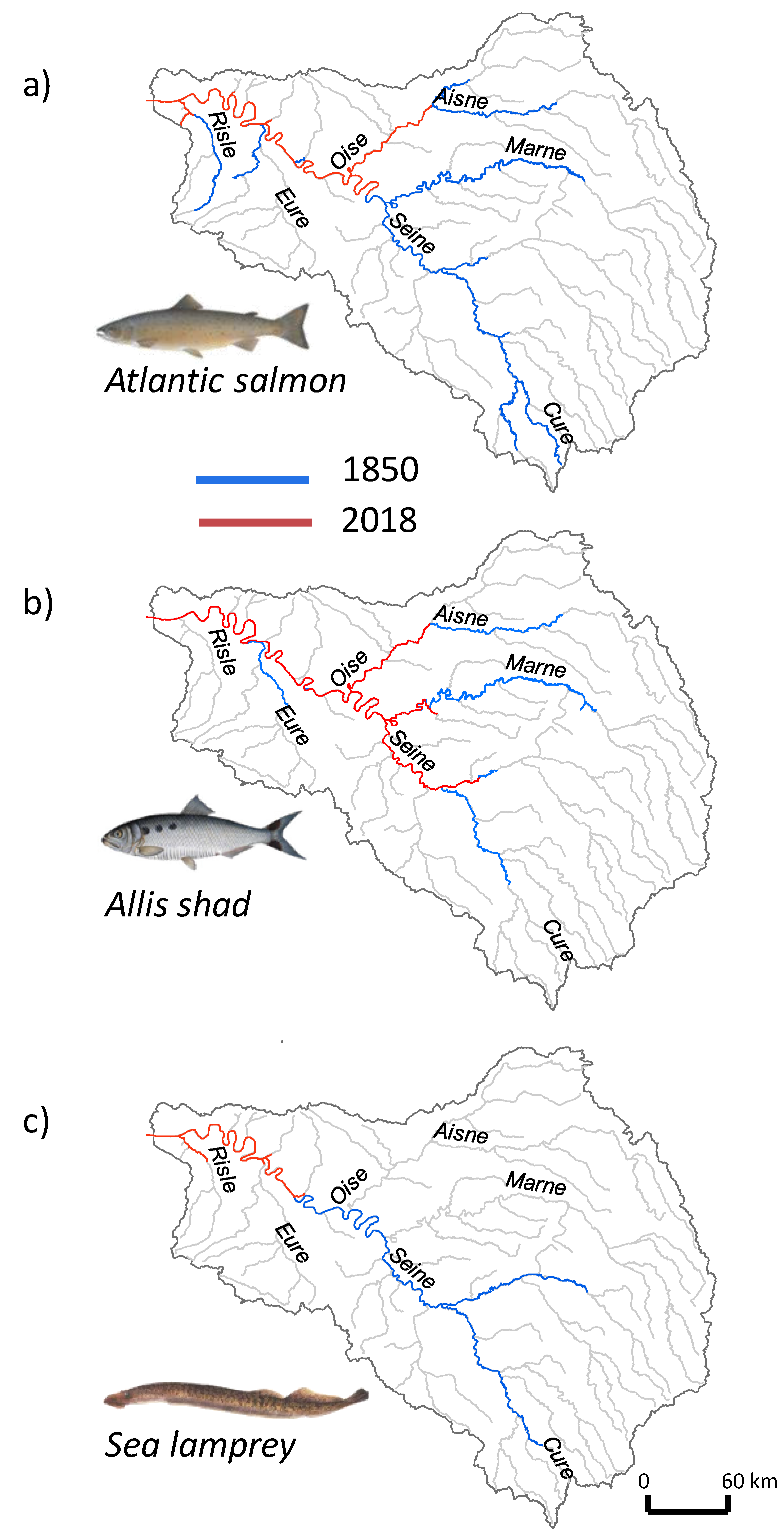 Water 12 01352 g006 Water 12 01352 g006
