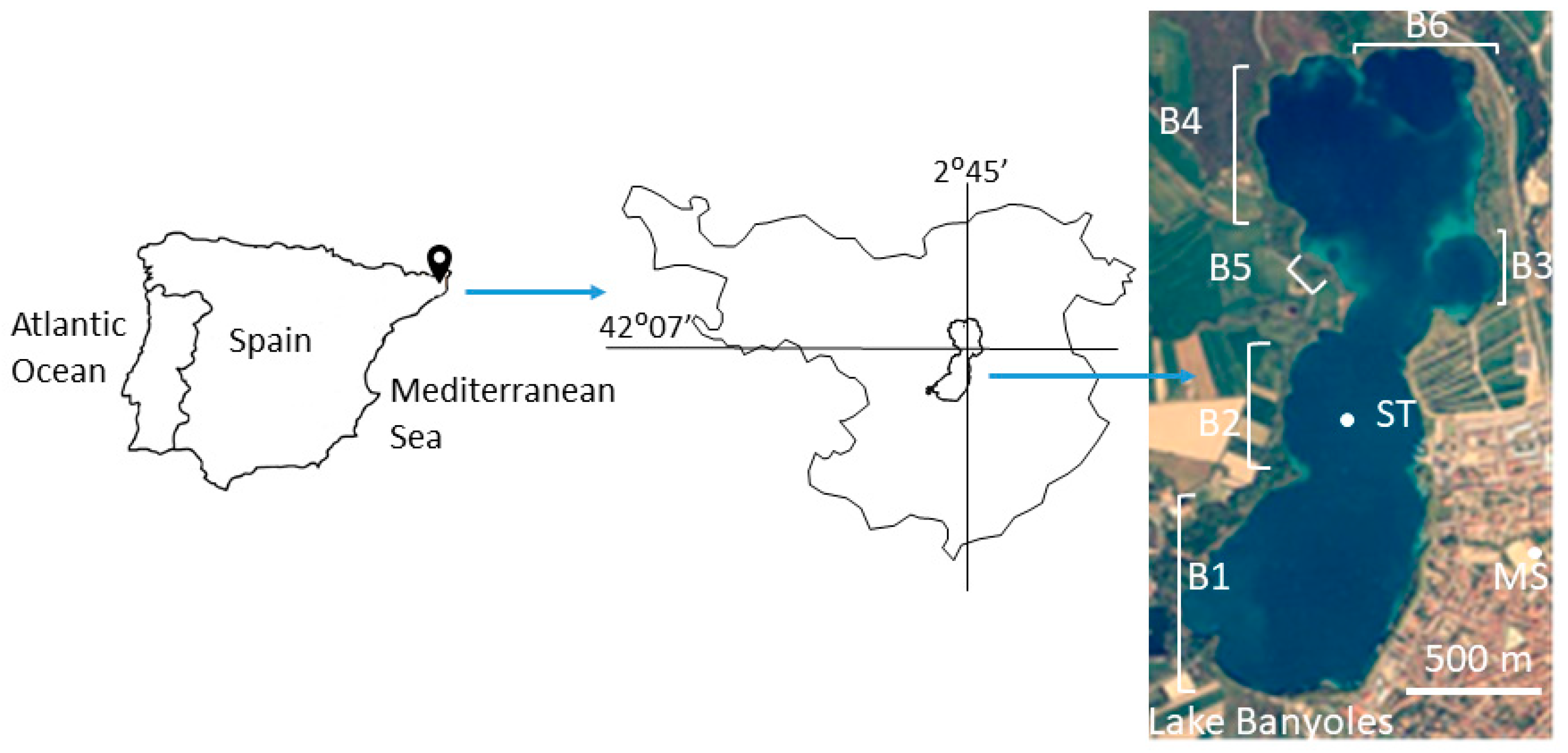 Water 12 01621 g001 Water 12 01621 g001