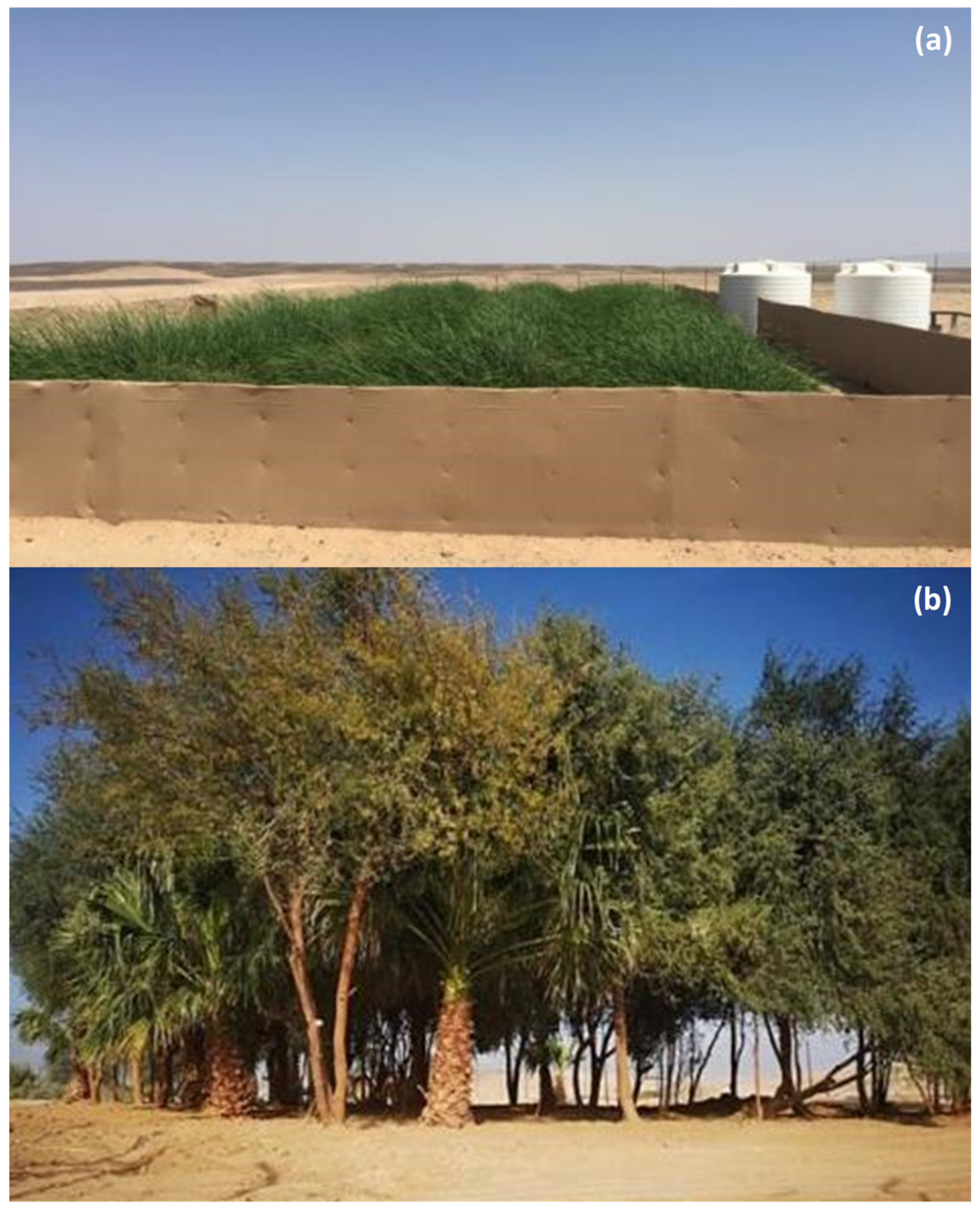 Water 12 01665 g002 Water 12 01665 g002