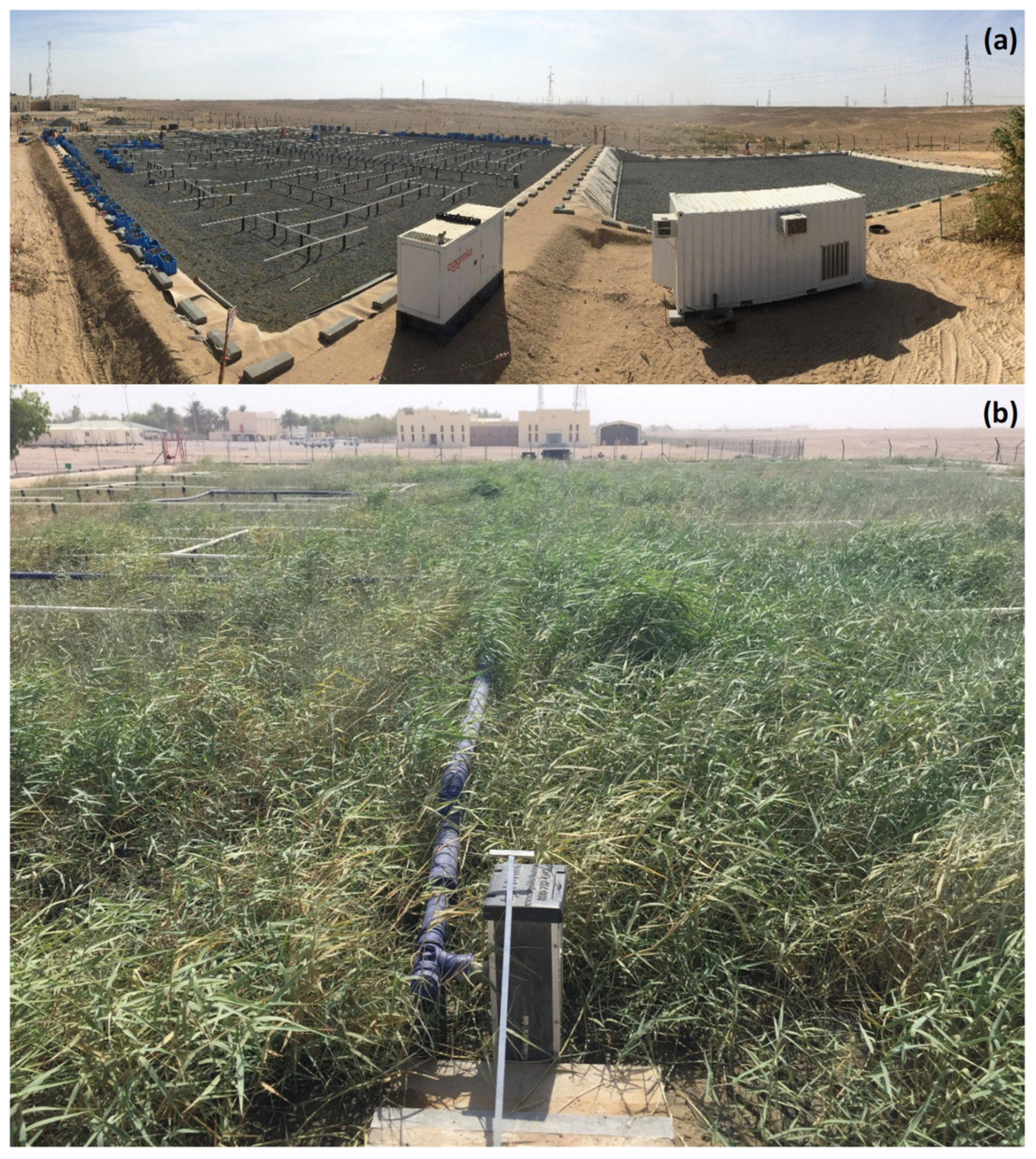 Water 12 01665 g005 Water 12 01665 g005