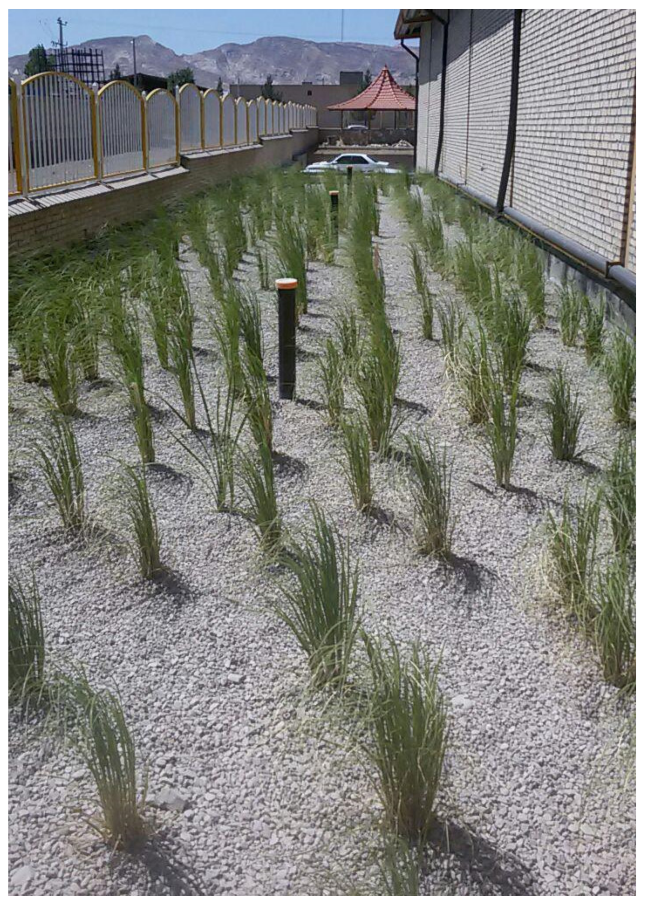 Water 12 01665 g007 Water 12 01665 g007