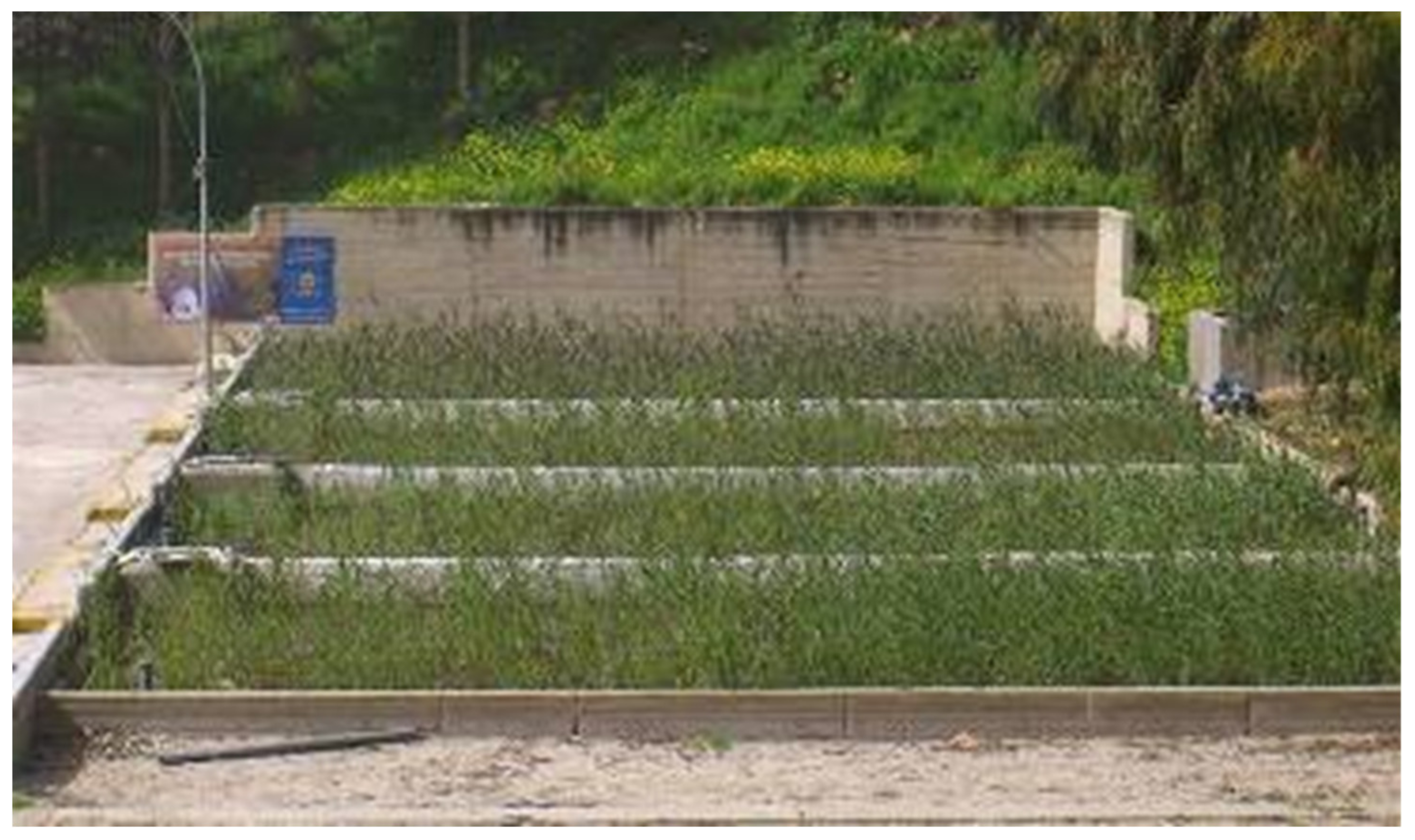 Water 12 01665 g008 Water 12 01665 g008