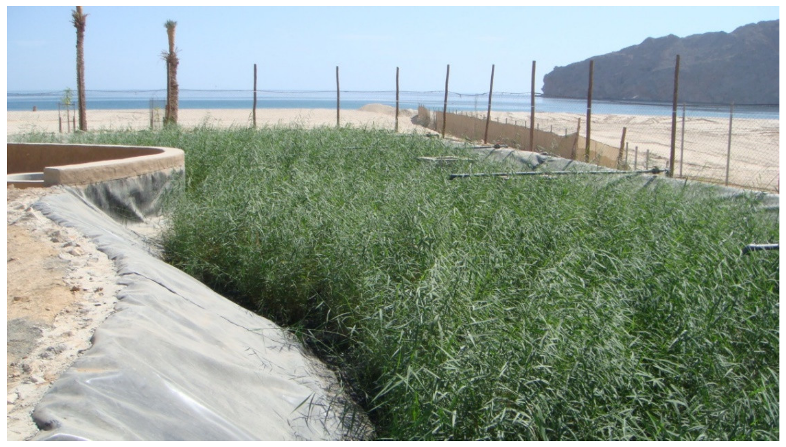 Water 12 01665 g009 Water 12 01665 g009