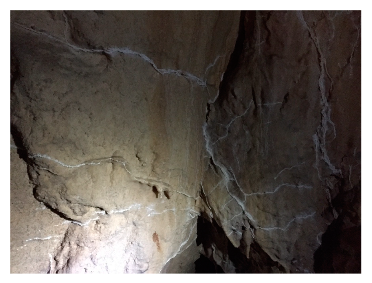 Water 12 01926 g008 Water 12 01926 g008