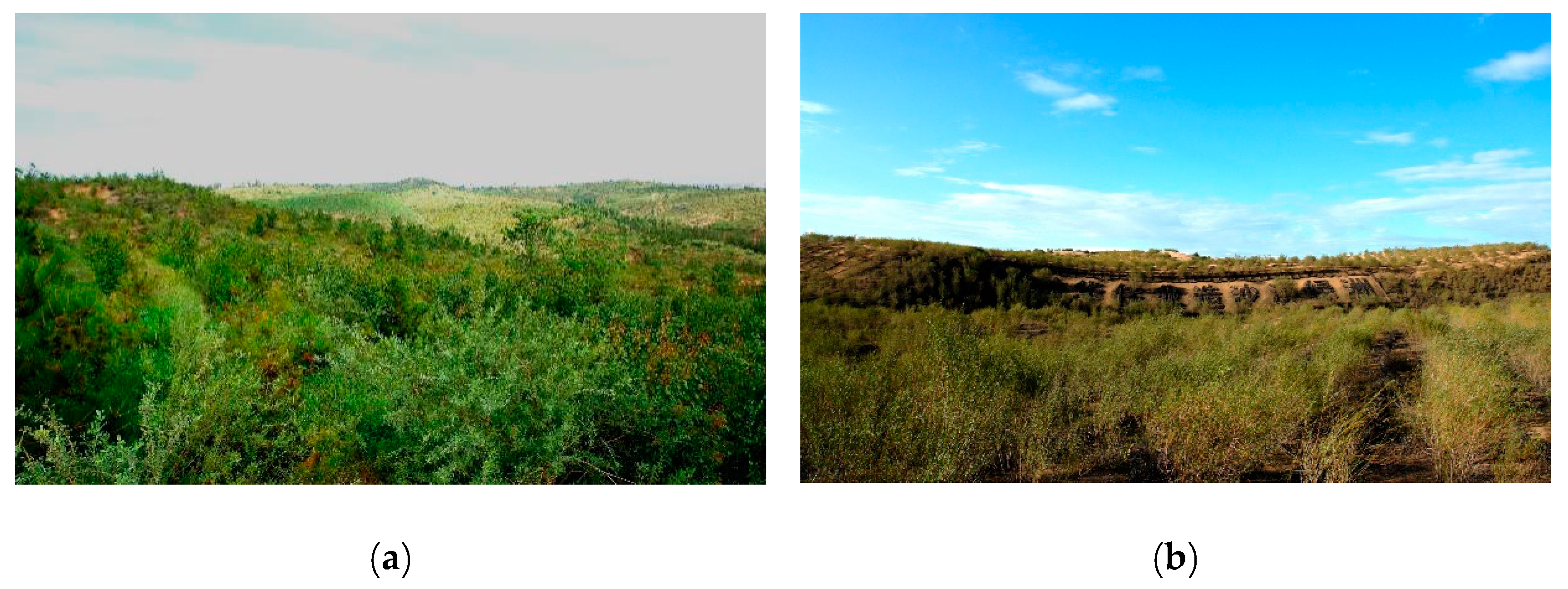 Water 12 01955 g001 Water 12 01955 g001